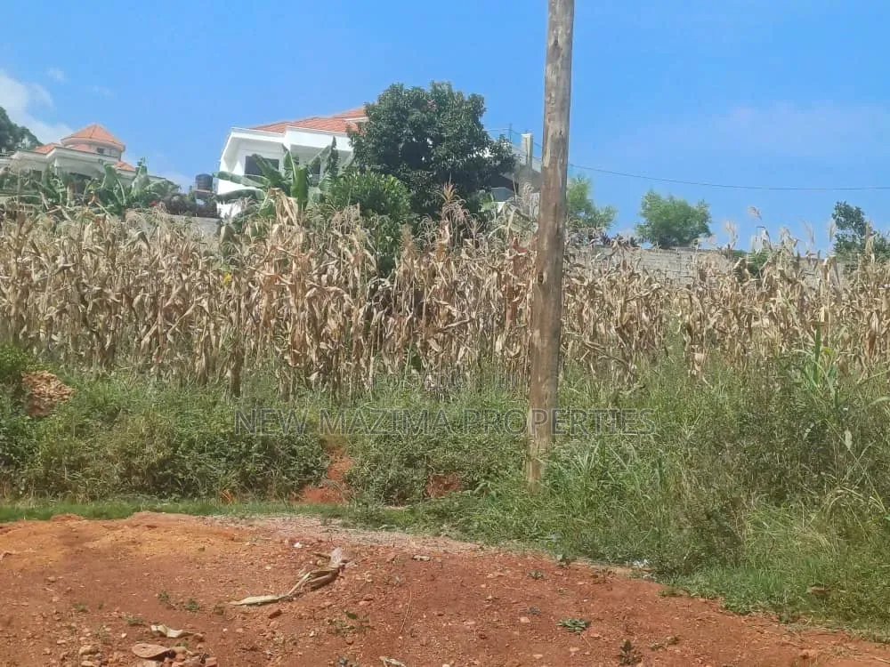 5bdrm House in Kigo Opposite Serena, Central Division for sale in Central Division