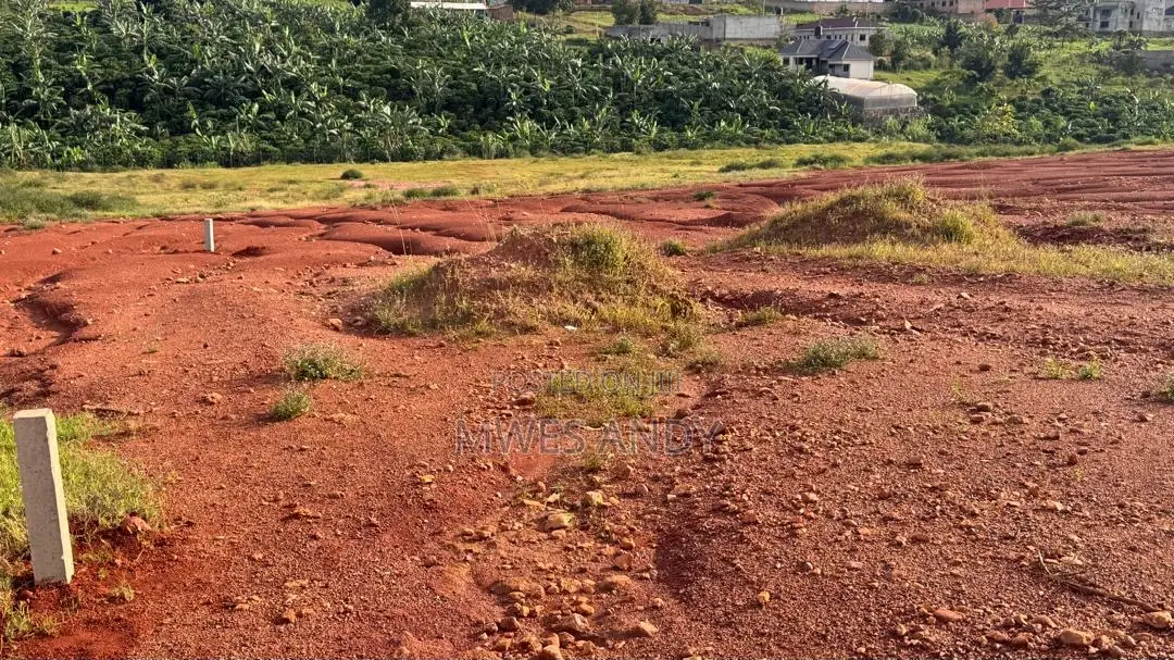 3 Plots Of Land Up For Grab In Kitende in Ssisa