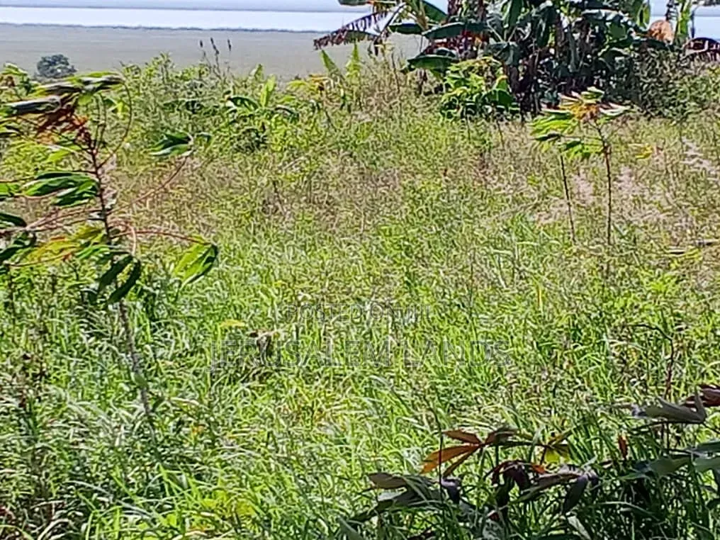 Onea Acre Lake View Entebbe Buwaya at 130m Private Milo Title Negotiab in Kasanje