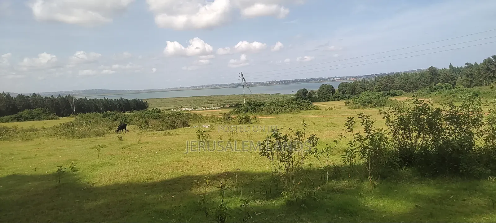 Onea Acre Lake View Entebbe Buwaya at 130m Private Milo Title Negotiab in Kasanje