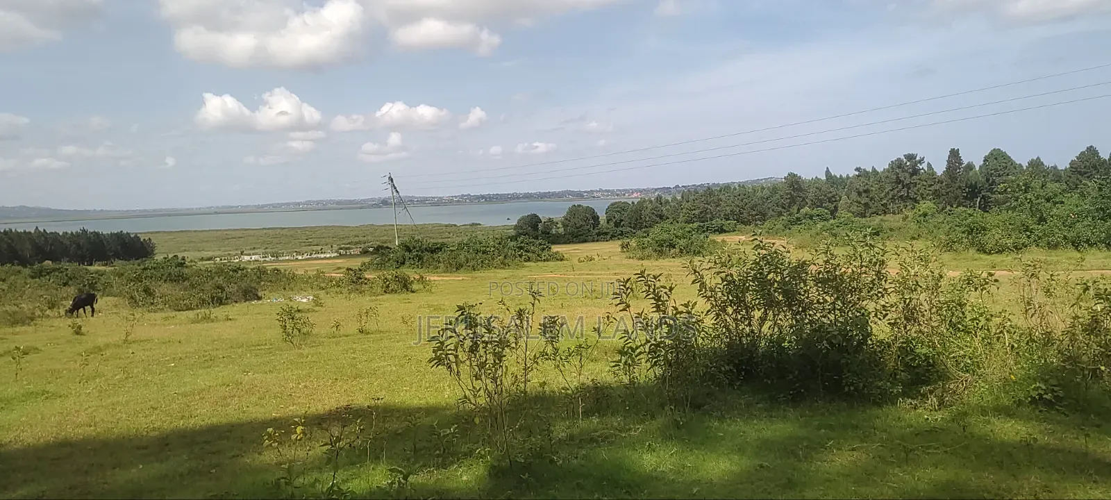 Onea Acre Lake View Entebbe Buwaya at 130m Private Milo Title Negotiab in Kasanje