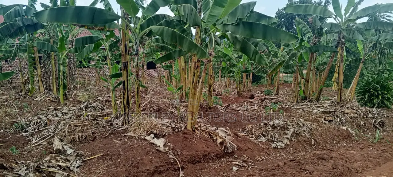 Land for Sale – Ssuka, Kayunga in Kayunga / Kayunga