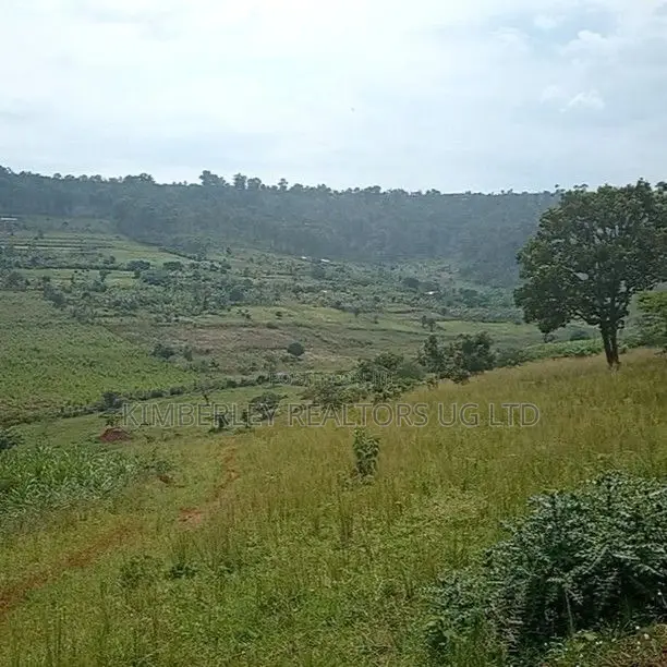 Land for Sale – Ssuka, Kayunga in Kayunga / Kayunga