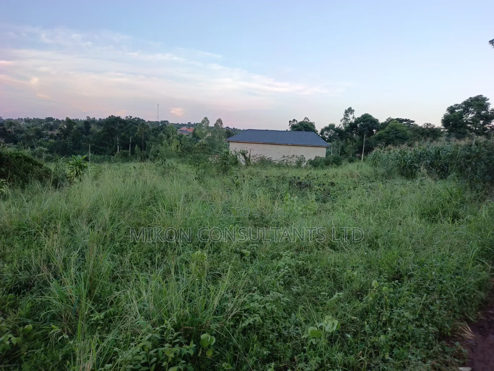 8 Acres of Land in Kikyusa Luwero District at Only 9m Per Acre in Kikyusa