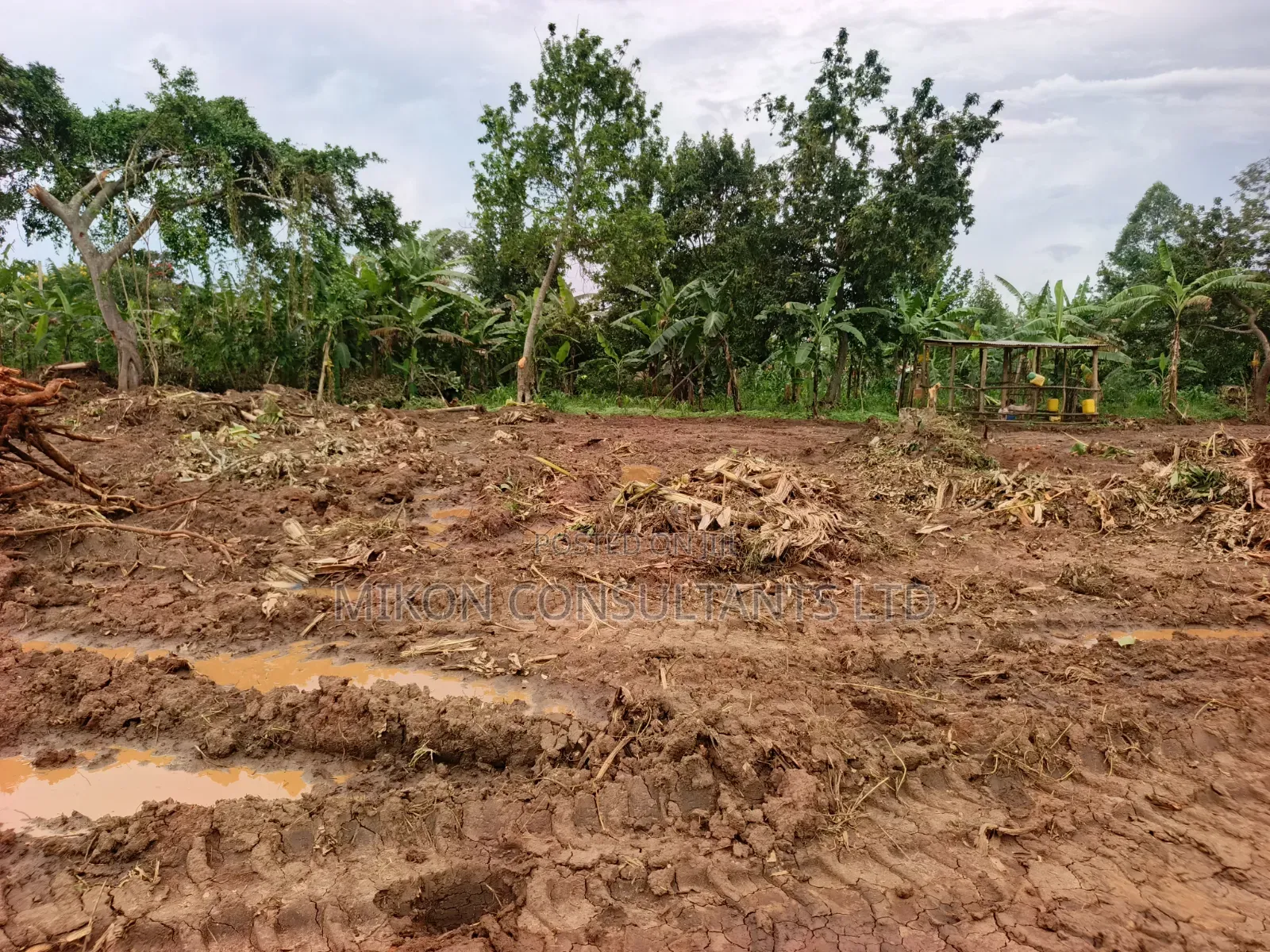50 by 100 FTS Plots in Matuga Gombe at Only 15m, Titled. in Kikyusa