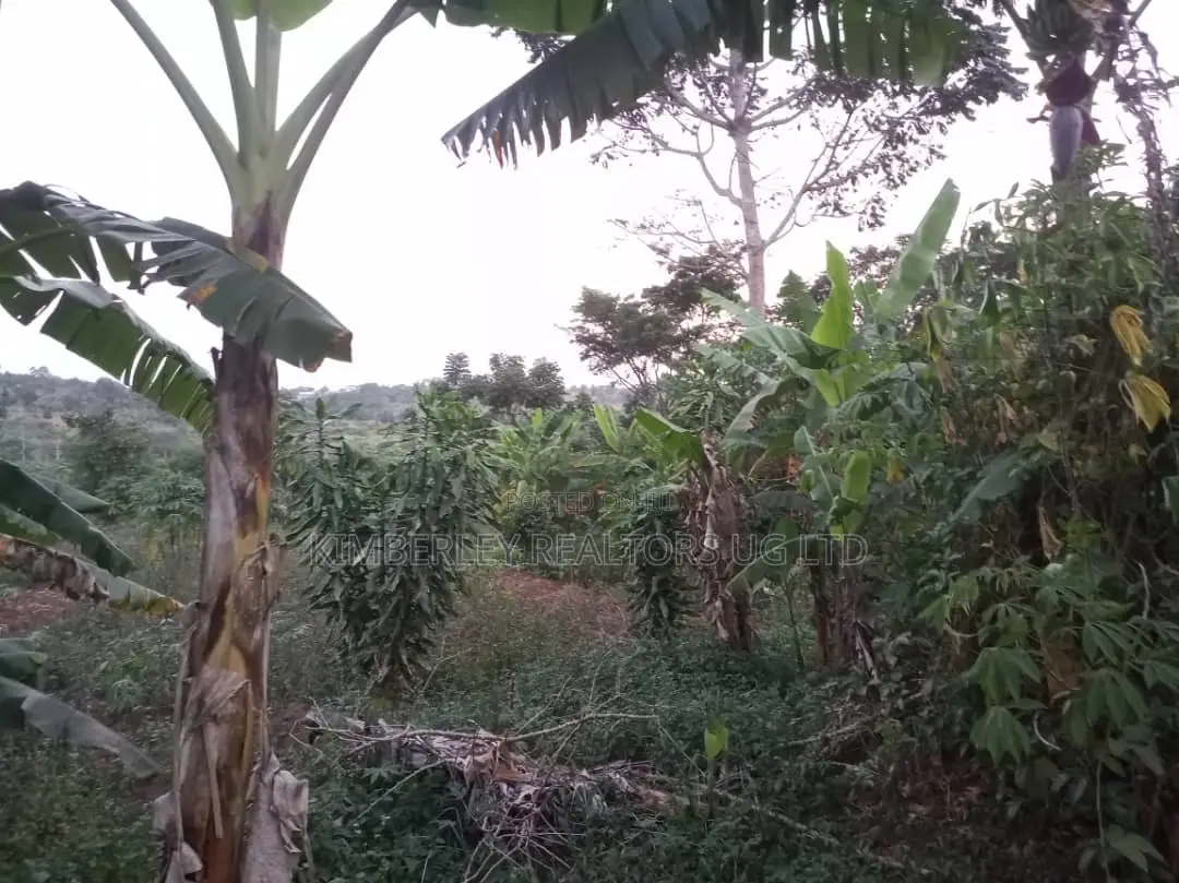 Land for Sale – Mawala, Semuto Road in Division A