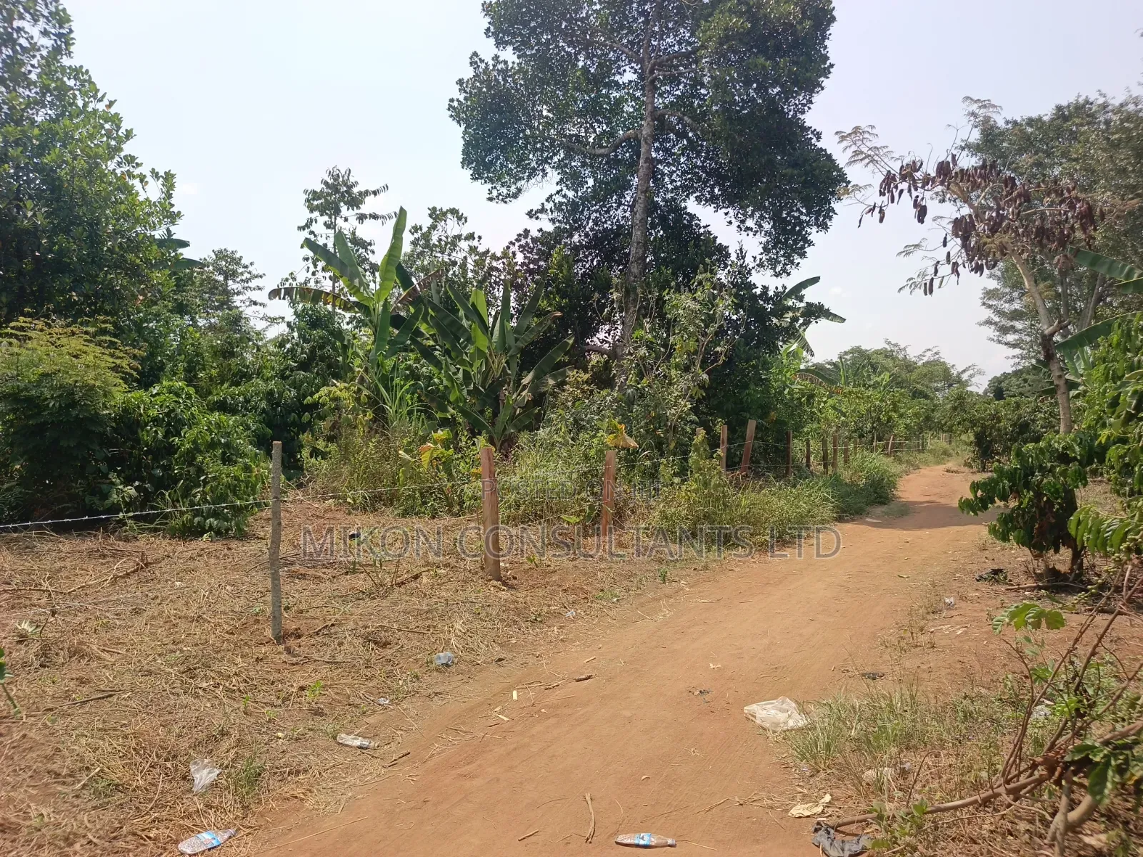 3 Acres With a Title at Only 13m Per Acre in Kikyusa in Central Division
