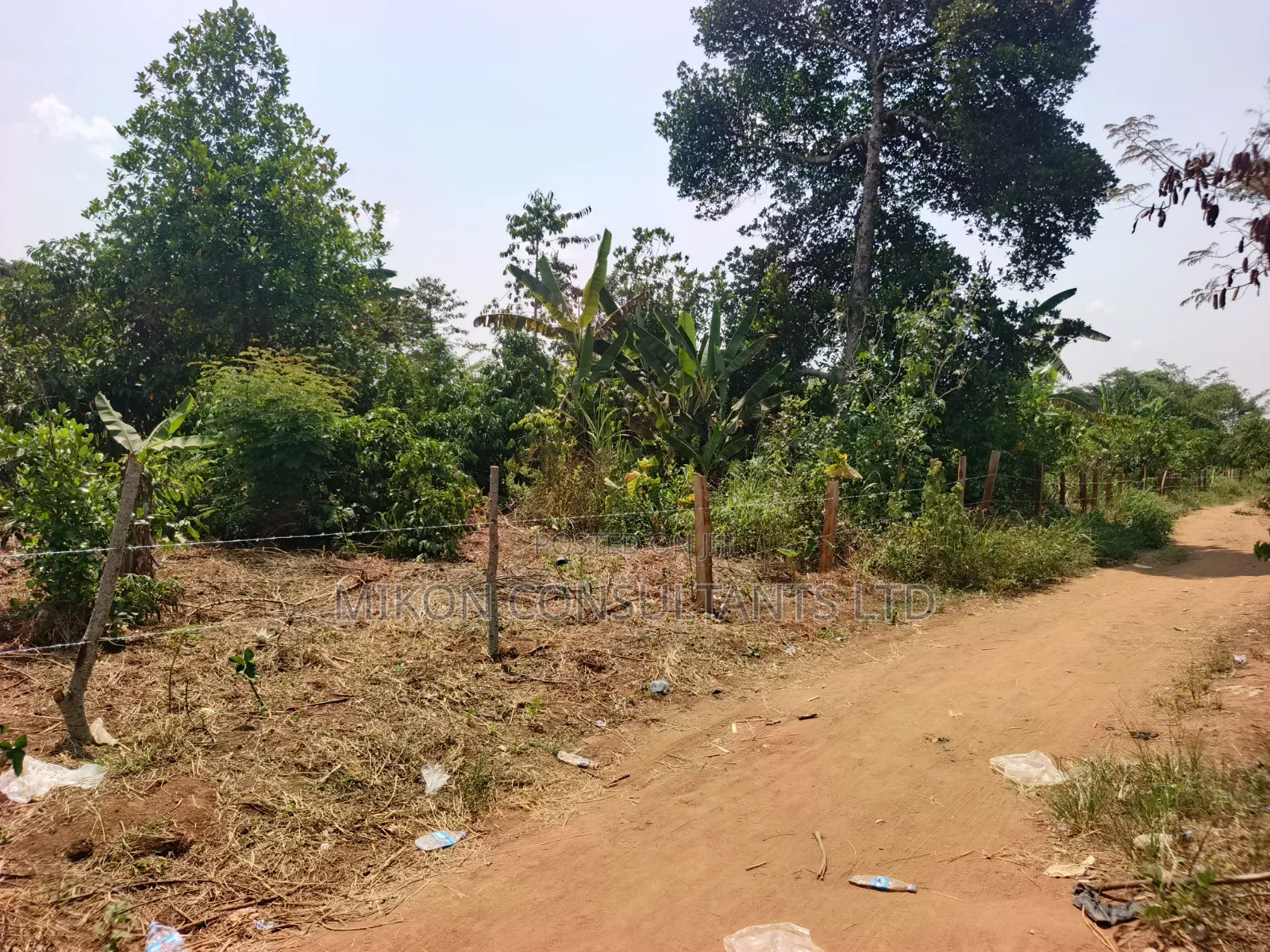 3 Acres With a Title at Only 13m Per Acre in Kikyusa in Central Division
