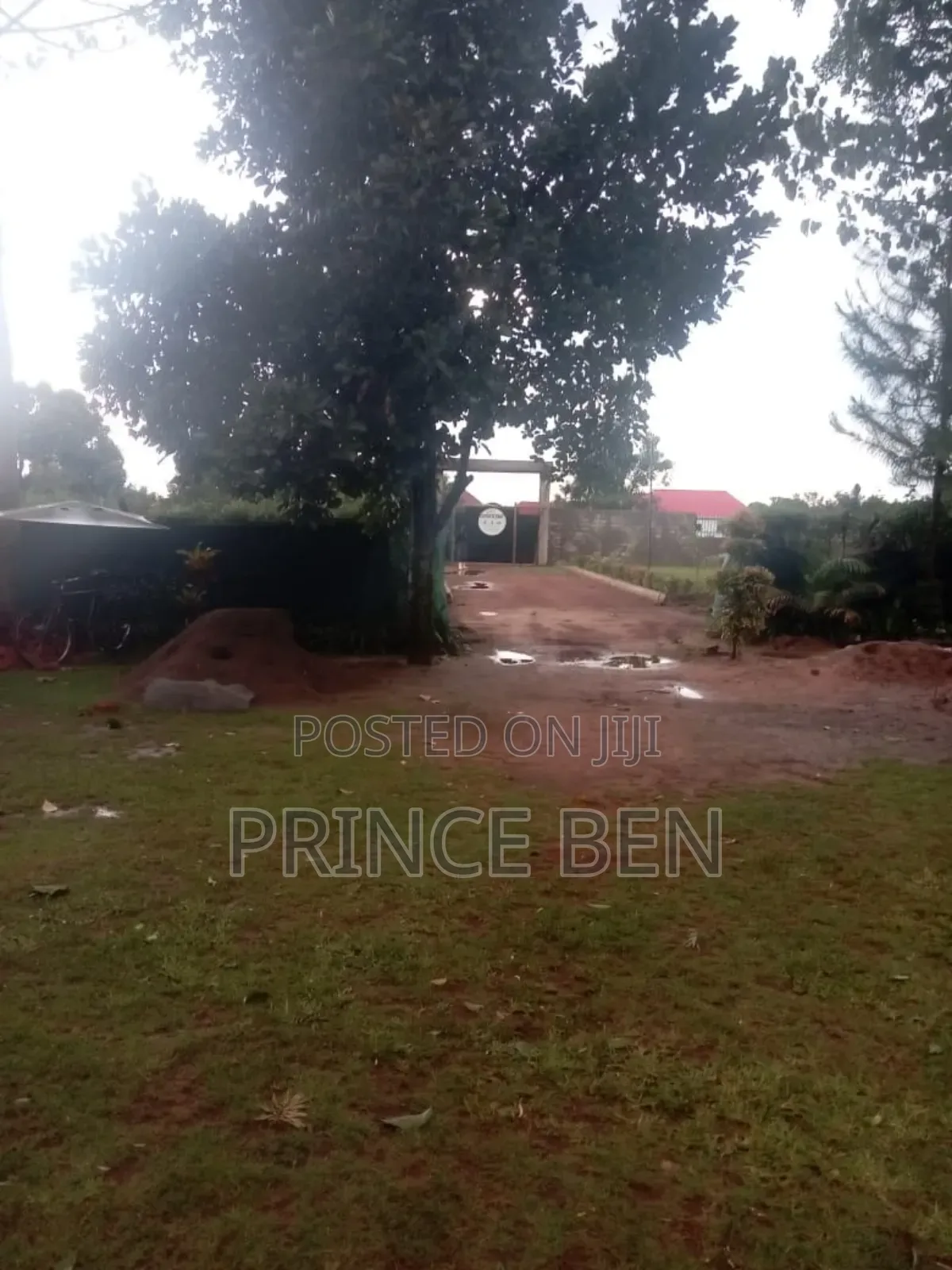 Plots 50ft by 100ft for Sell in Masulita