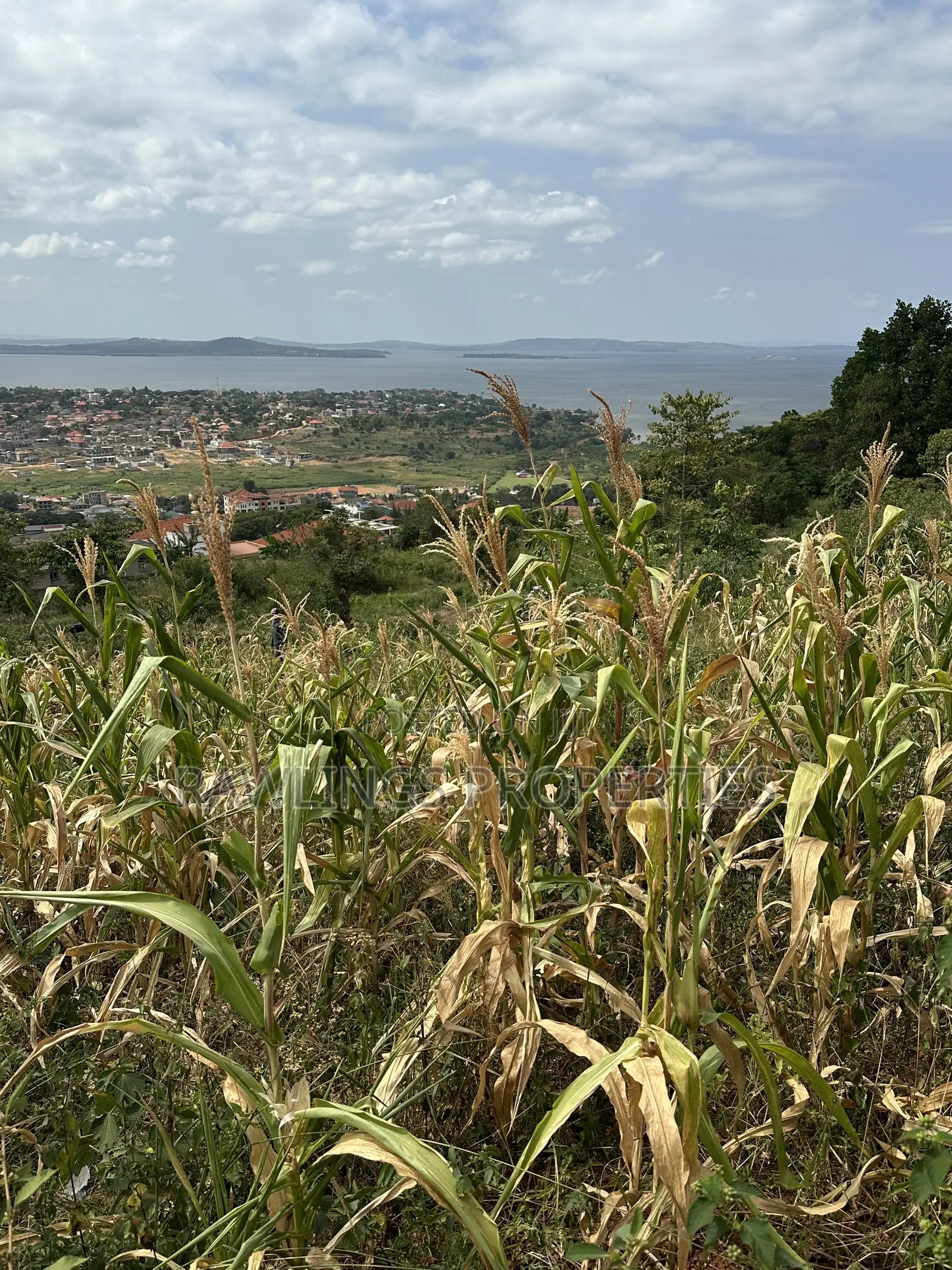 3 Acres for Sale in Kigo at $450,000 in Ssisa
