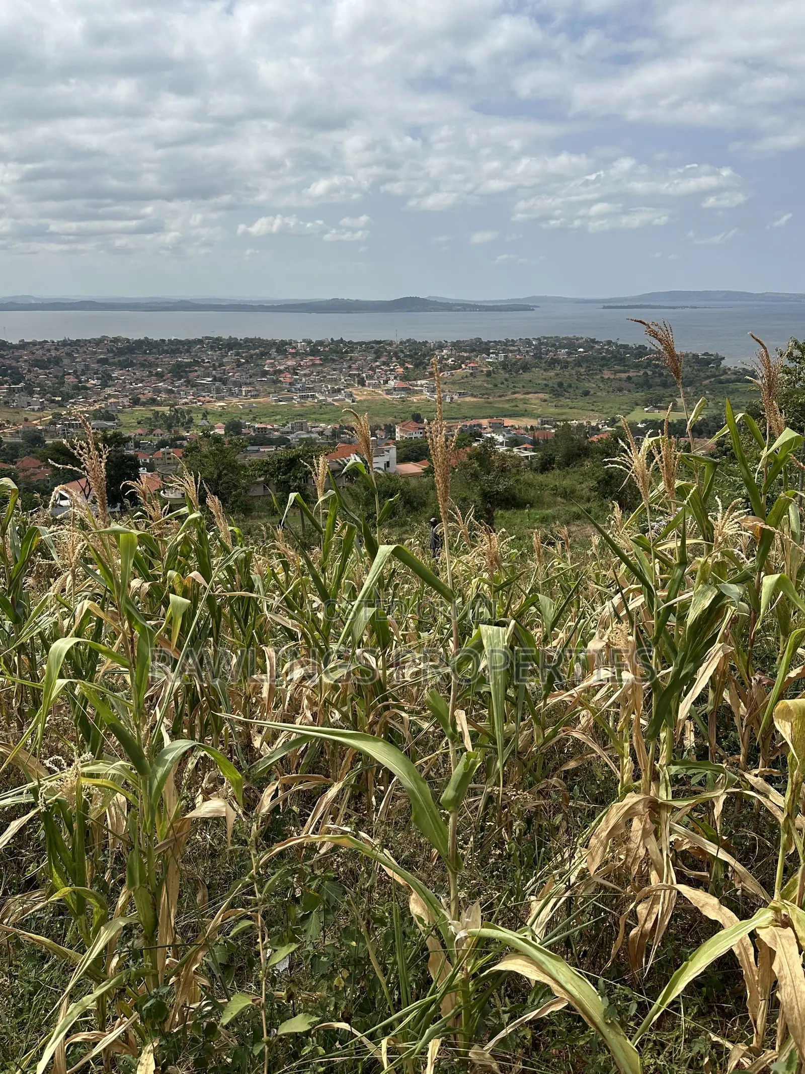 3 Acres for Sale in Kigo at $450,000 in Ssisa