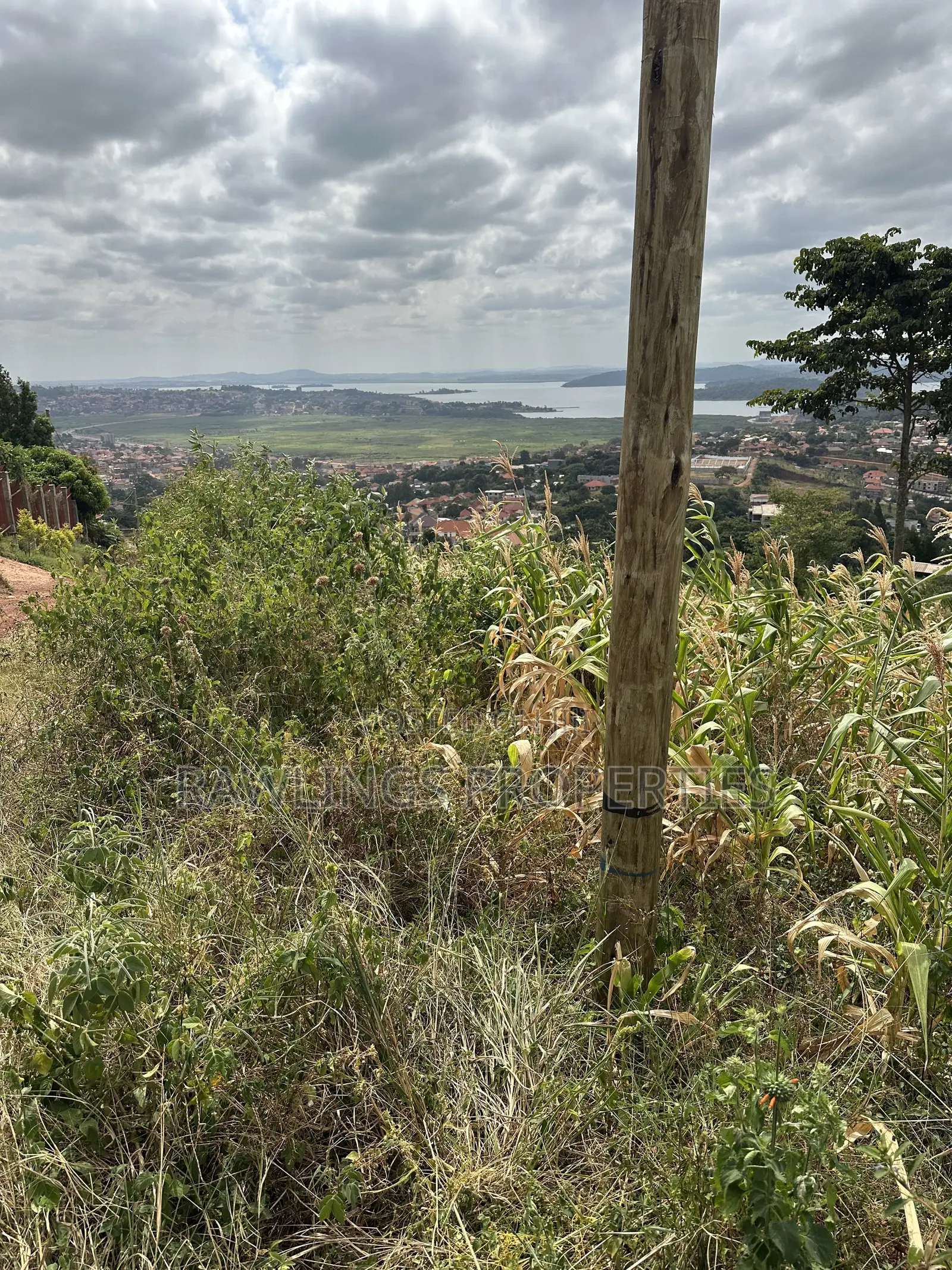 3 Acres for Sale in Kigo at $450,000 in Ssisa