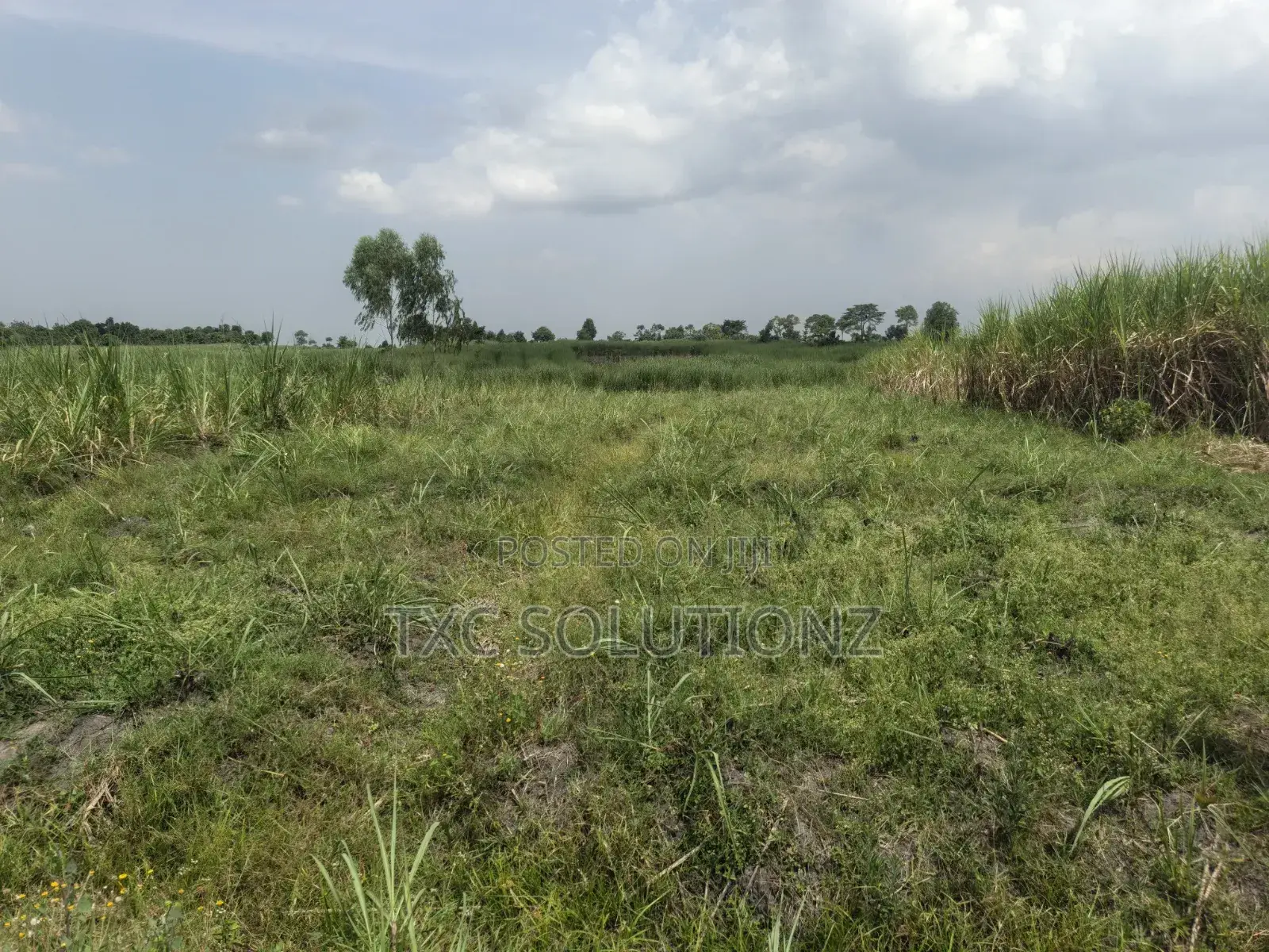 2 Acres of Land for Sale in Jinja-Busede Mixed Land Use. in Jinja
