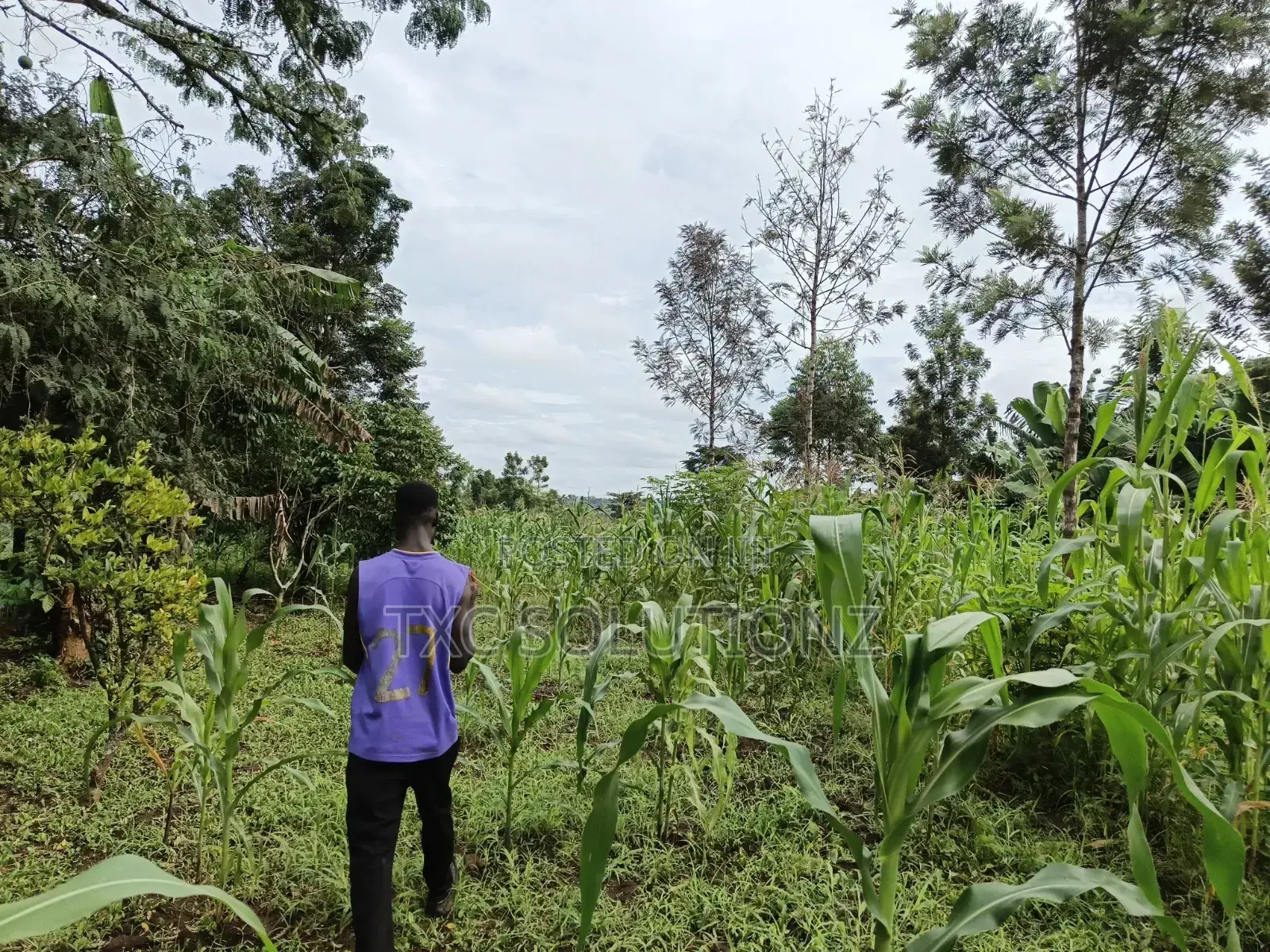 2 Acres of Land for Sale in Jinja-Busede Mixed Land Use. in Jinja