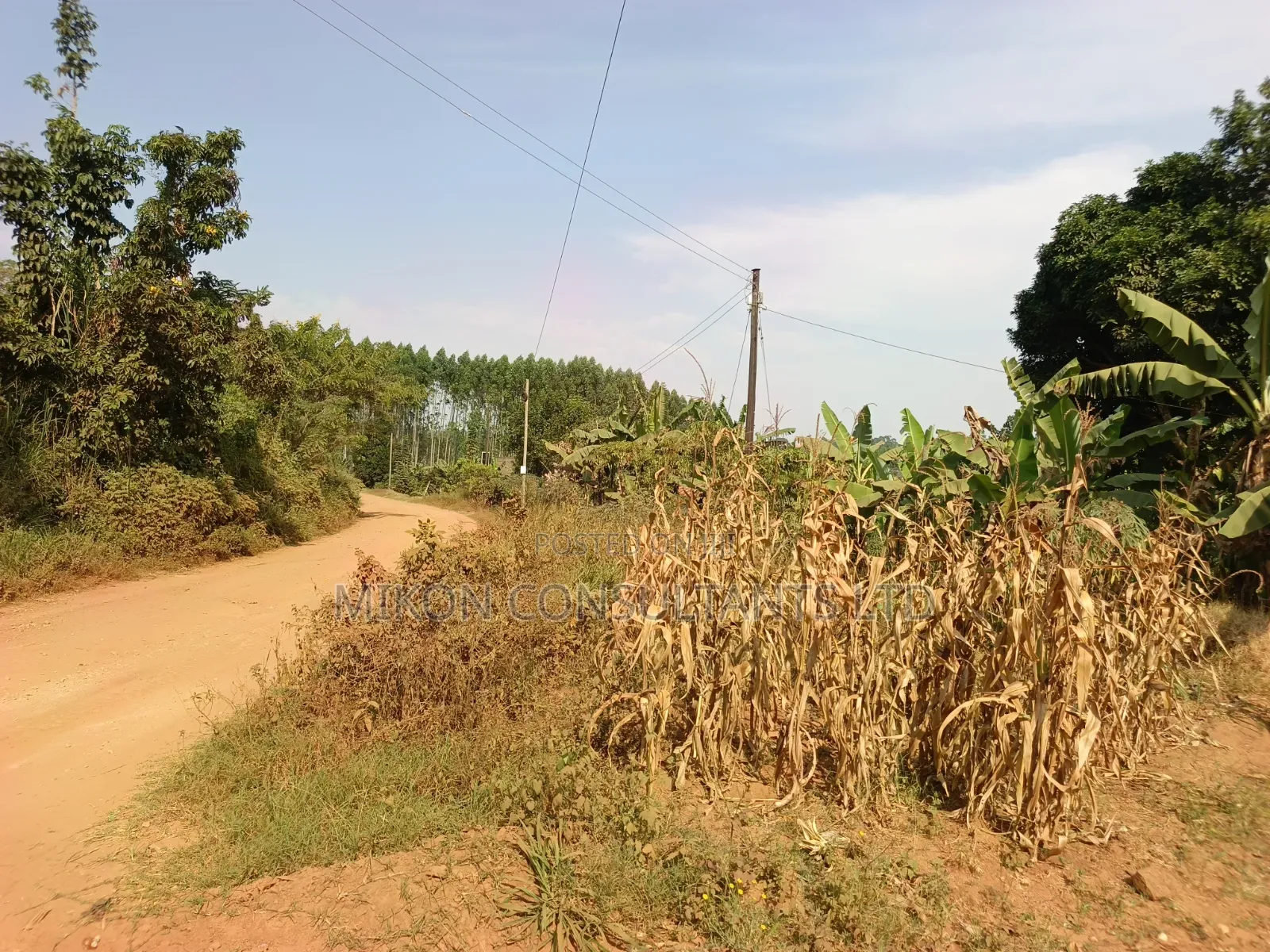 33 Decimals on Sale, Mityana Road in Central Division