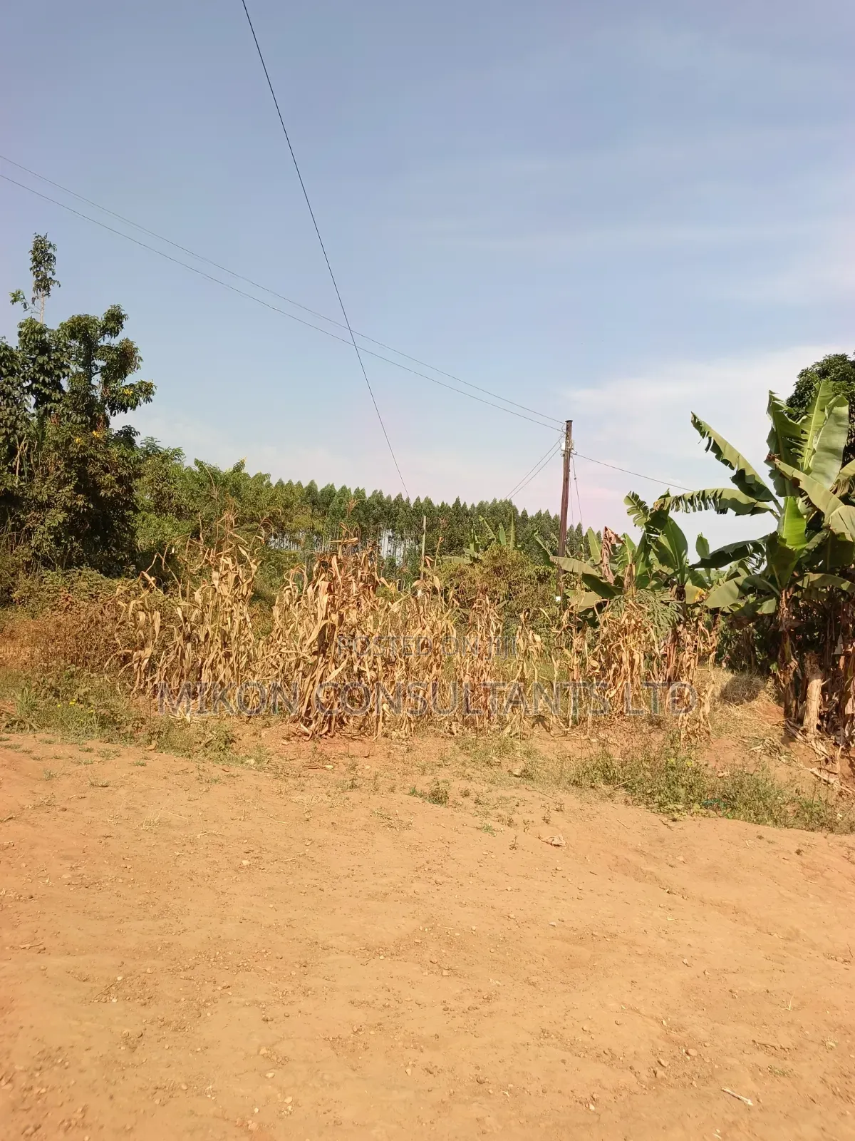 33 Decimals on Sale, Mityana Road in Central Division