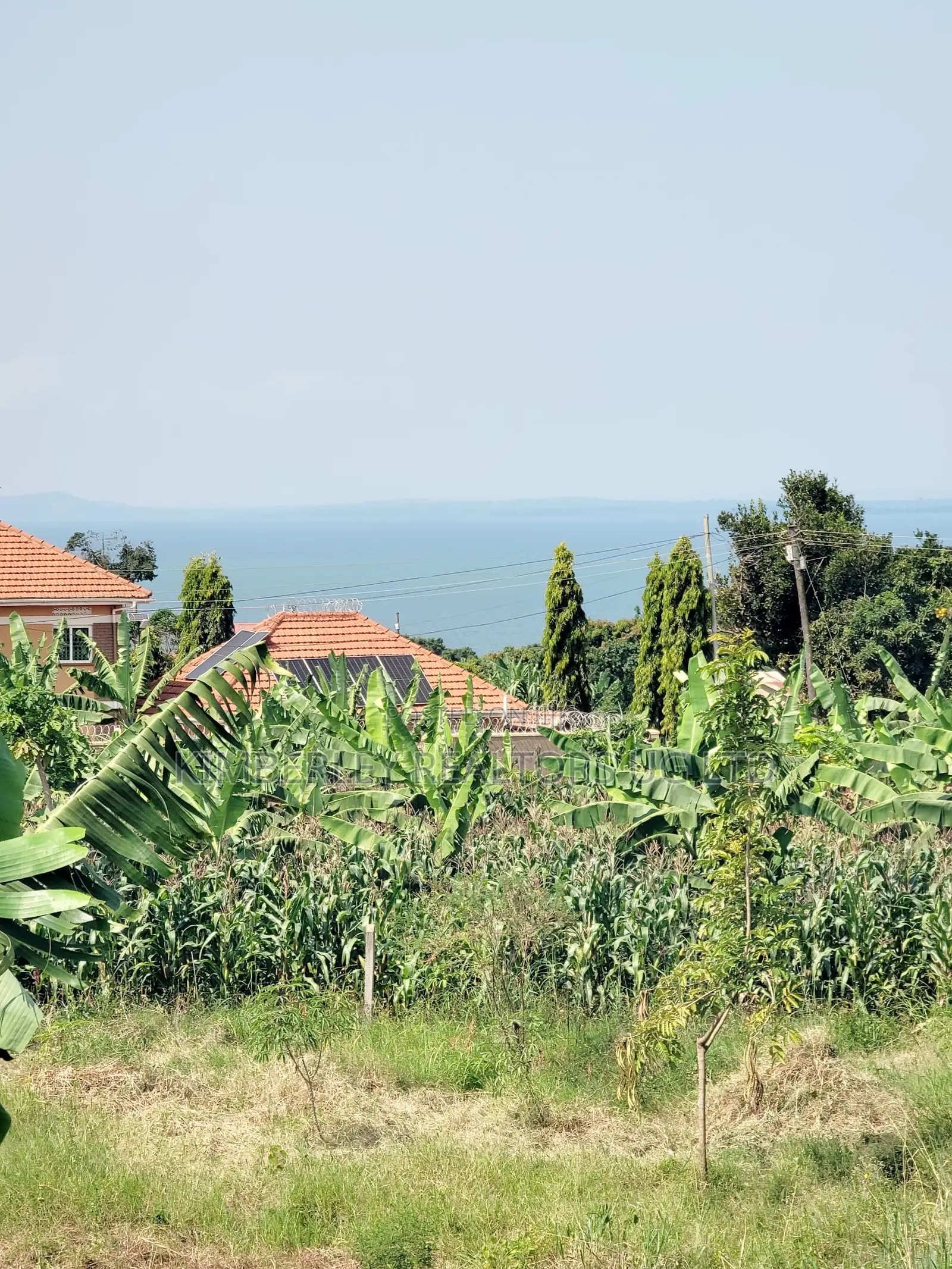 Land for Sale – Kira Shemon in Kira