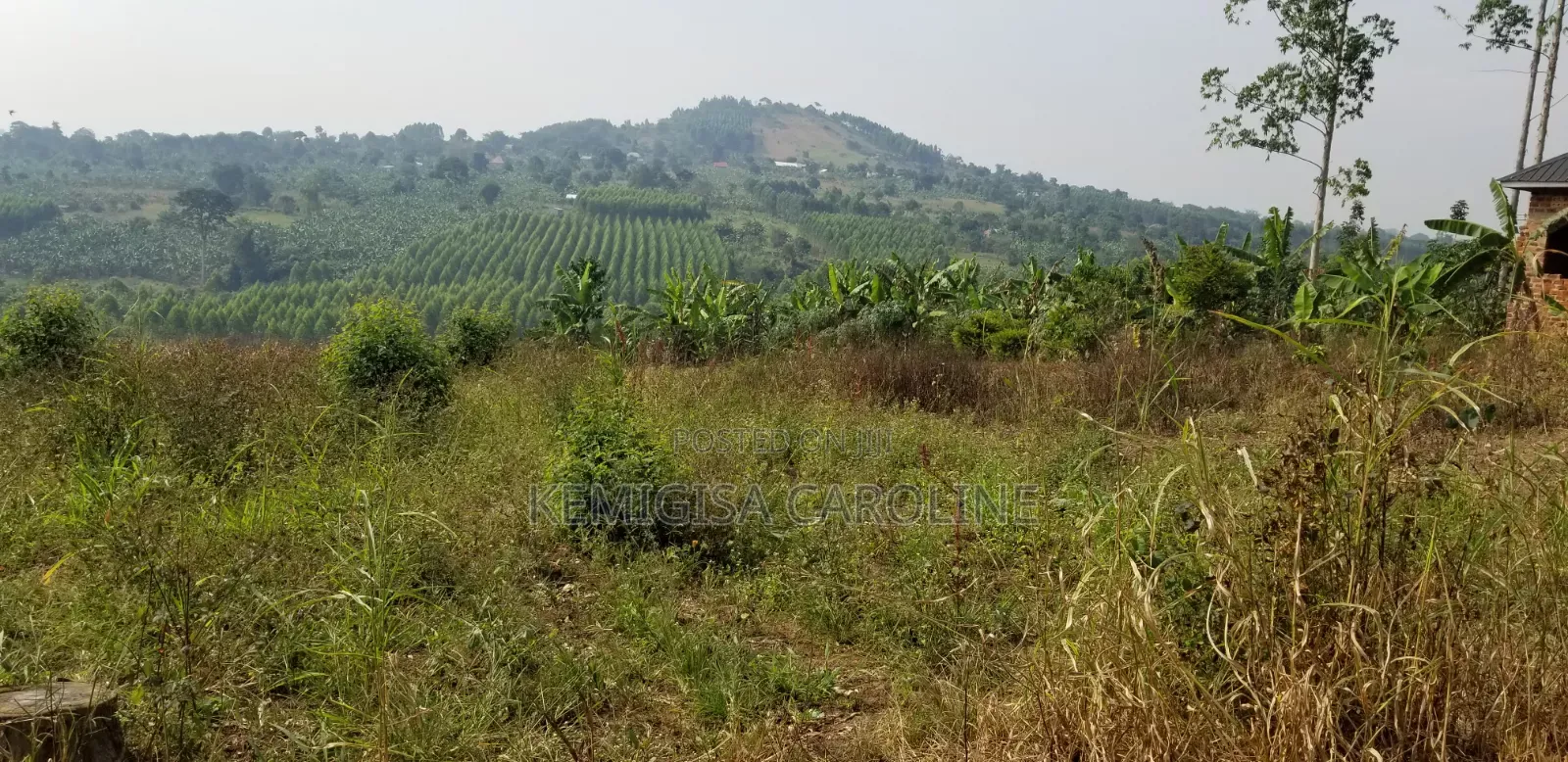 Plot of 35 * 60 Ft for Sale in Bulamu in Wakiso / Wakiso