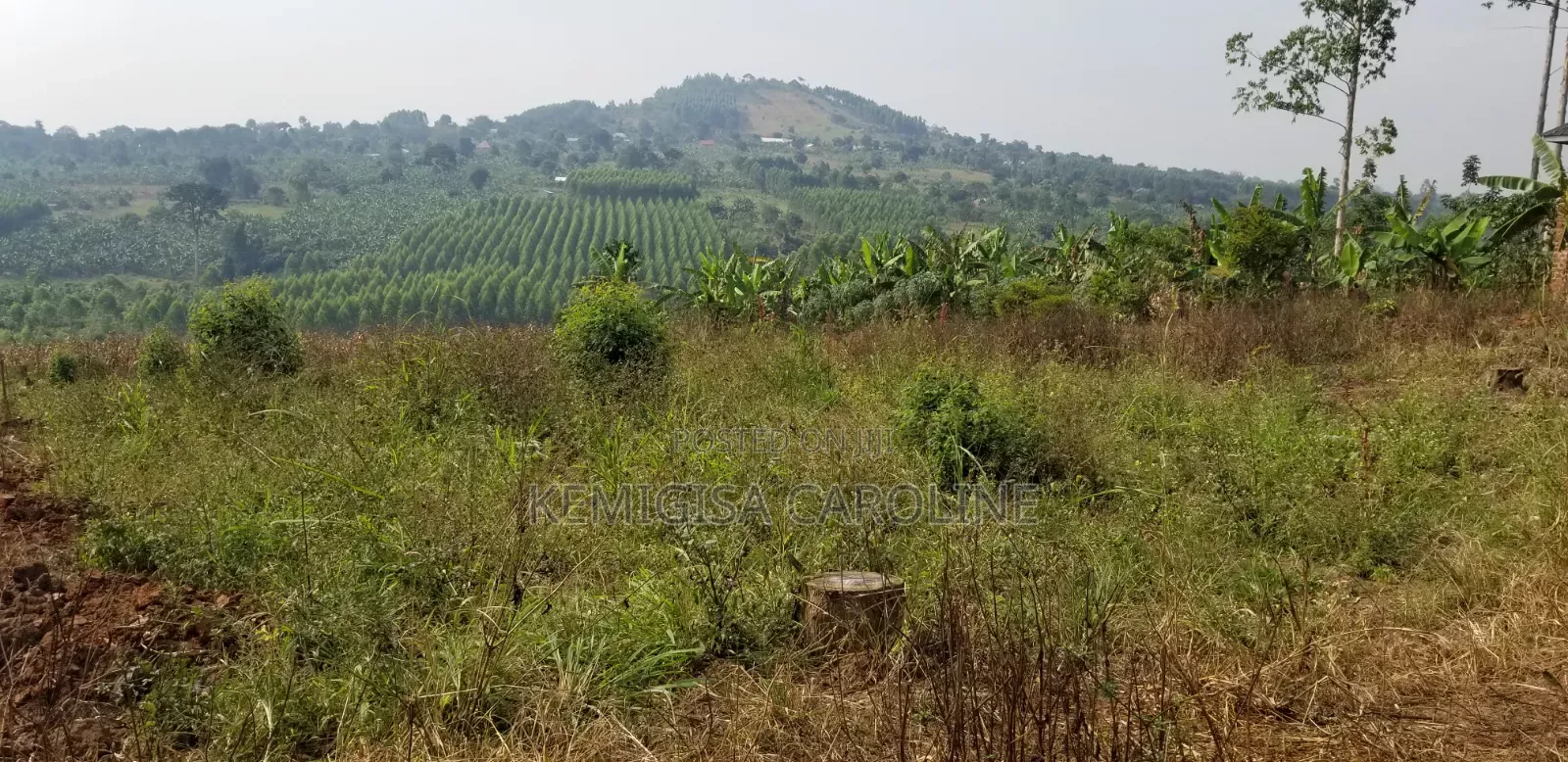 Plot of 35 * 60 Ft for Sale in Bulamu in Wakiso / Wakiso