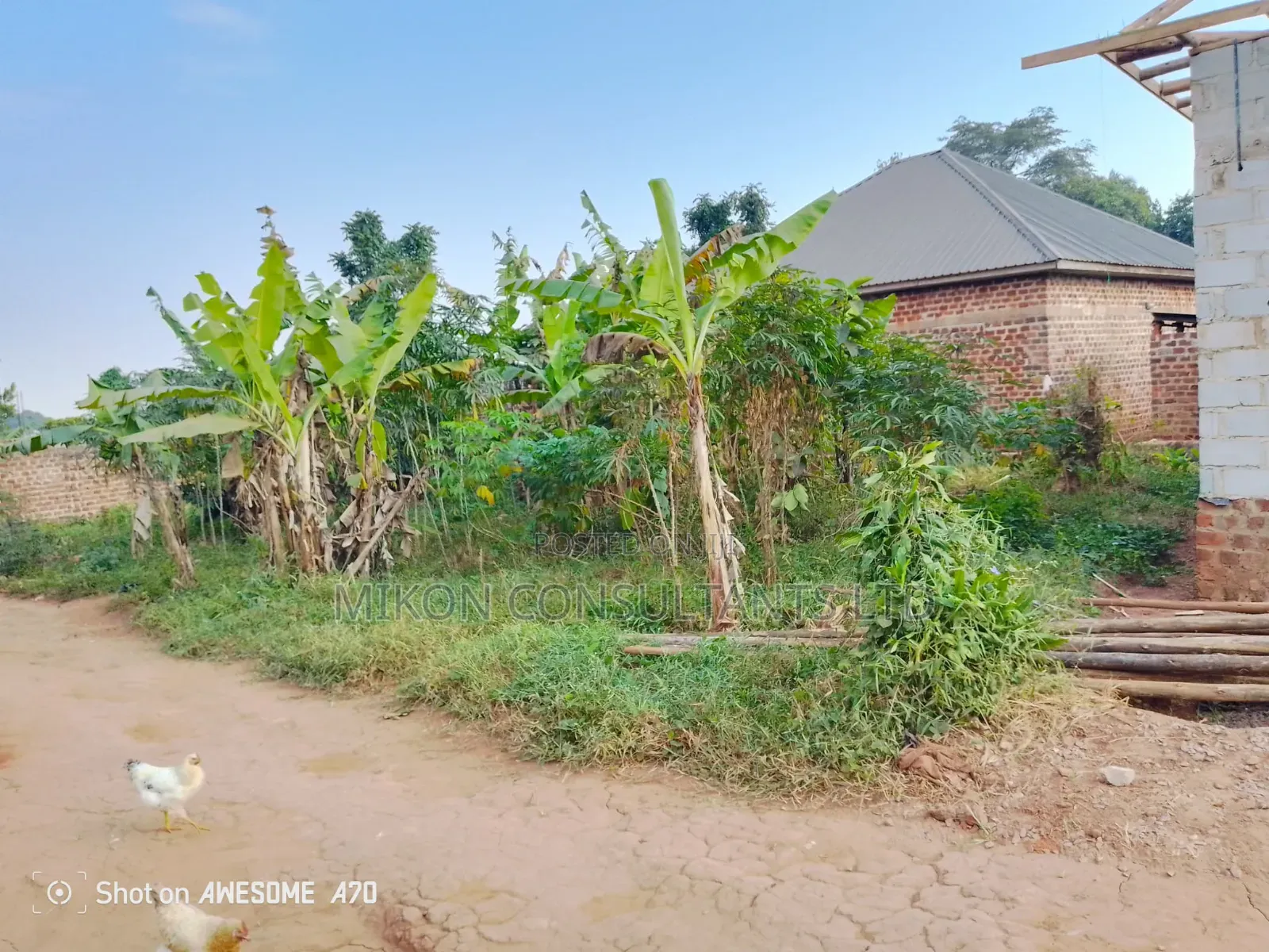 To by 50 Fs Plot in Matuga Sanga in Central Division