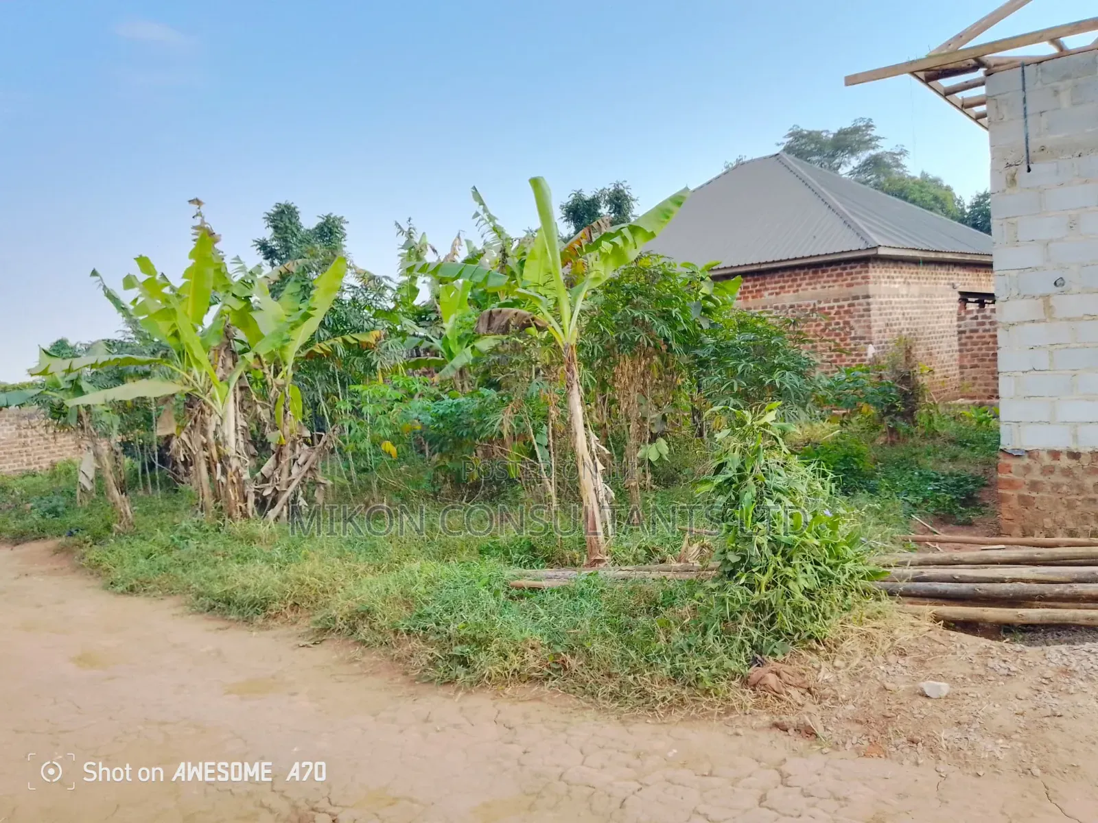 To by 50 Fs Plot in Matuga Sanga in Central Division