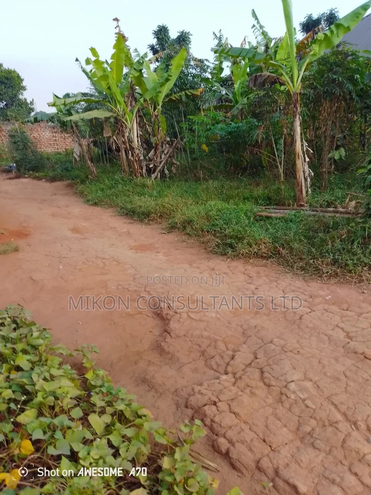 To by 50 Fs Plot in Matuga Sanga in Central Division