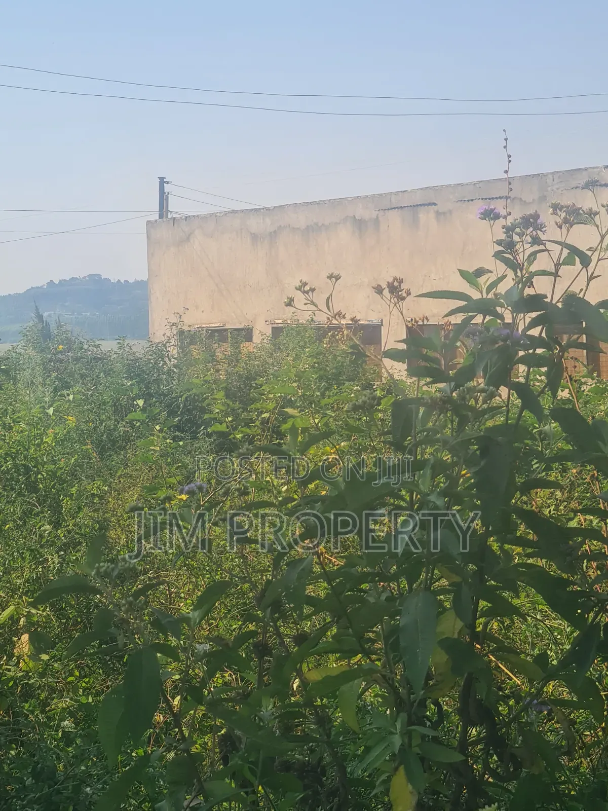 Land for Sale at Buloba Mityana Road 50x100 in Central Division