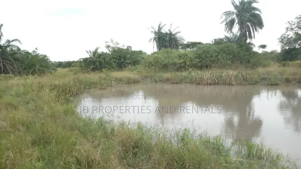 Farm on Sale Contained With 100 Cows, 60 Goats and 20 Sheep in Luwero / Luwero
