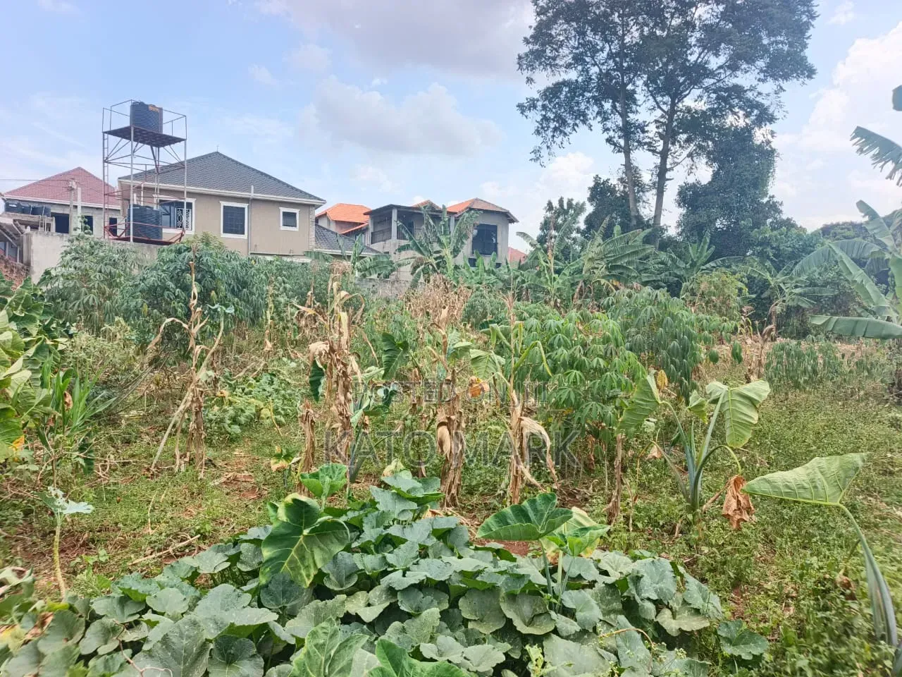 2 Prime Plots for Sale at Namugongo_joggo in Mukono TC
