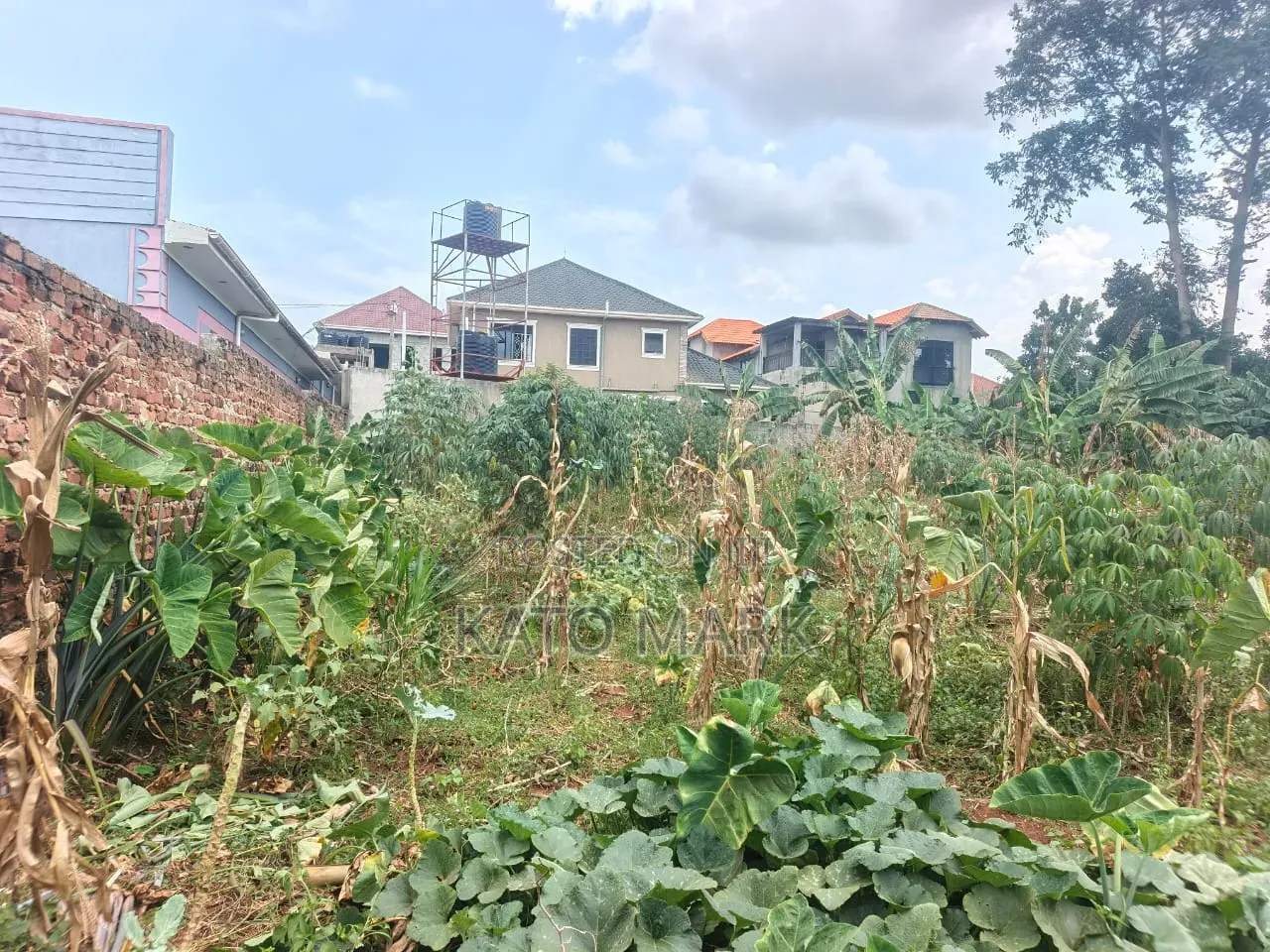 2 Prime Plots for Sale at Namugongo_joggo in Mukono TC