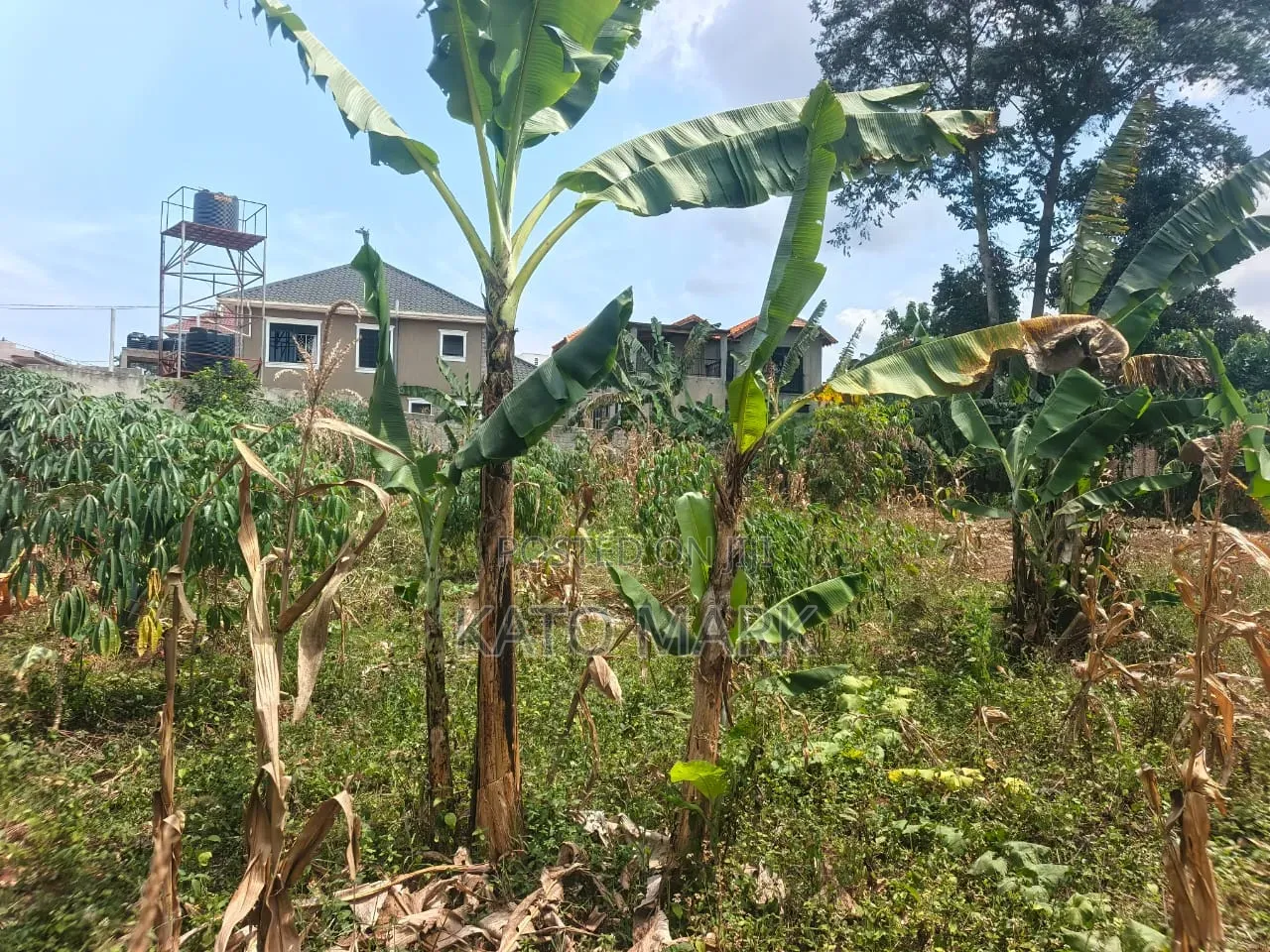 2 Prime Plots for Sale at Namugongo_joggo in Mukono TC