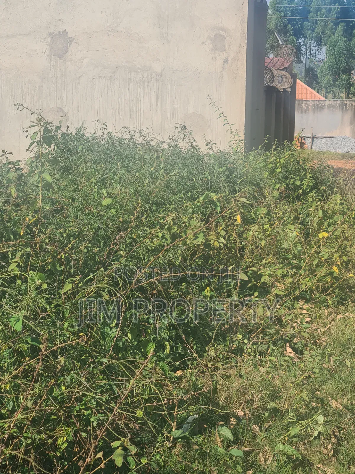 For Sale Title at Gayaza Manyangwa 50x100 in Central Division