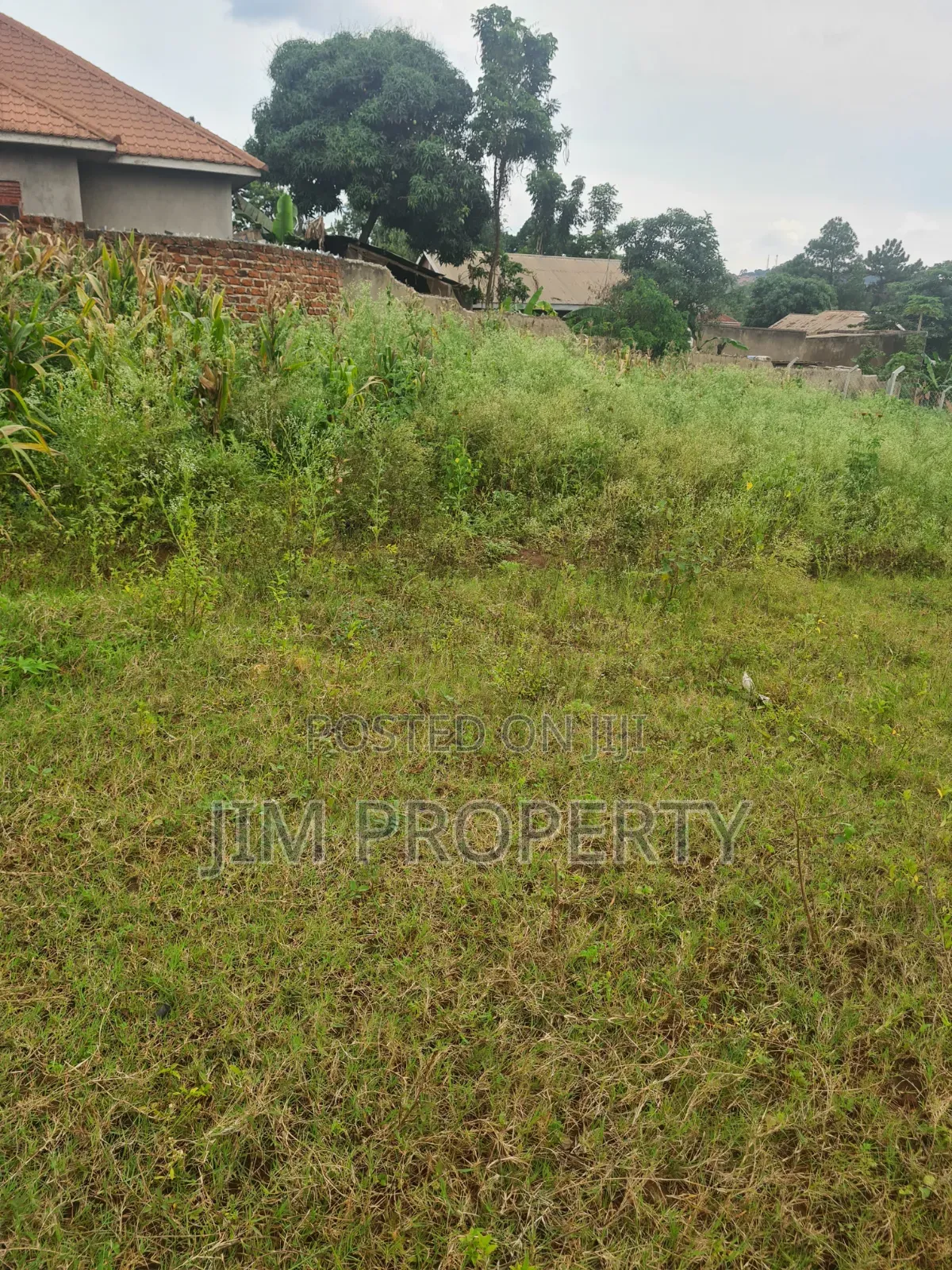 Title for Sale at Mpala Ntebe Road 100x100 in Central Division