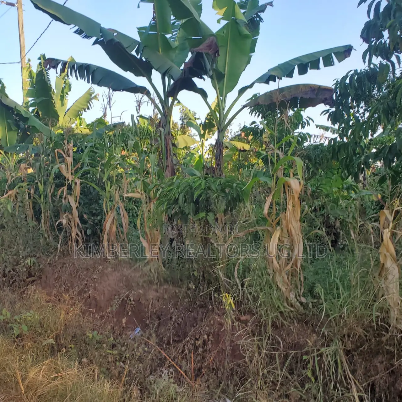 5 Acres of Land for Sale – Kiwenda Nazareth in Division A