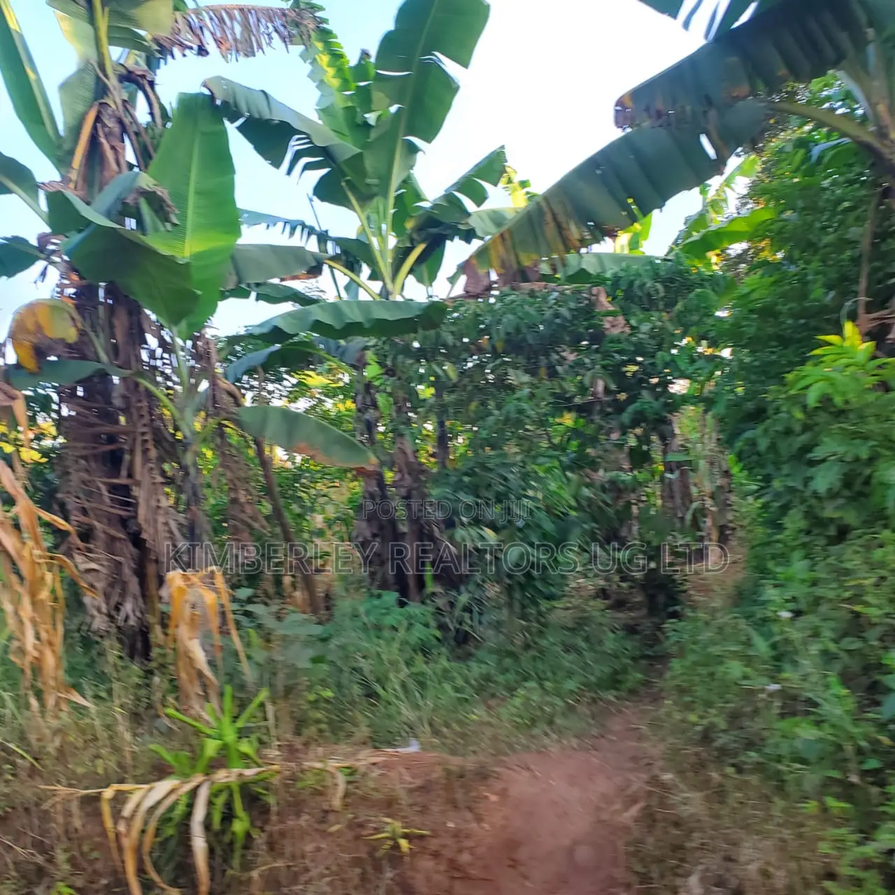 5 Acres of Land for Sale – Kiwenda Nazareth in Division A