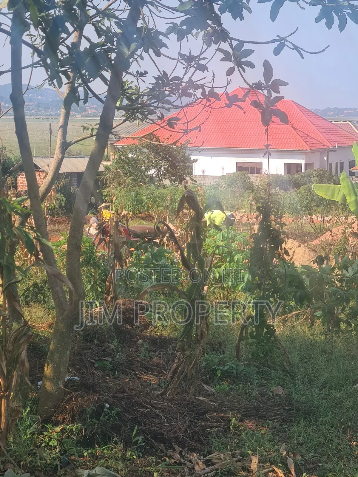 Titled Land for Sale at Bwebajja Entebe Road 50x100 in Central Division