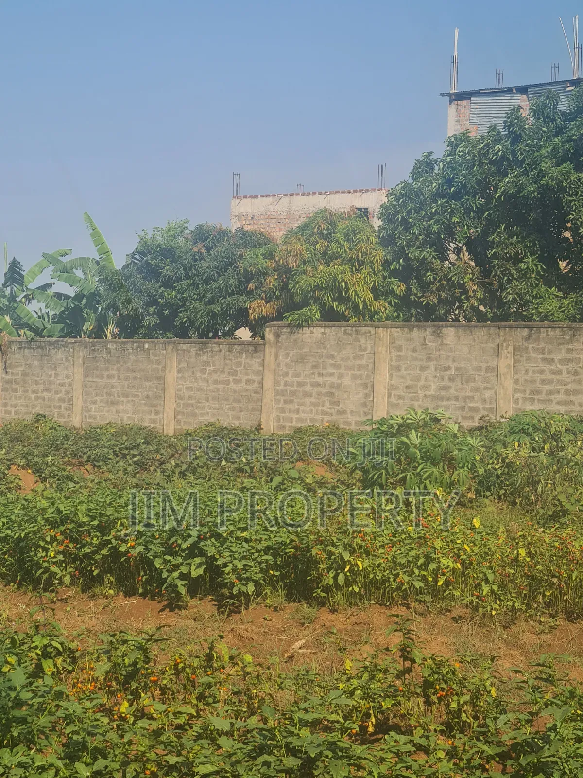Titled Land for Sale at Bwebajja Entebe Road 50x100 in Central Division