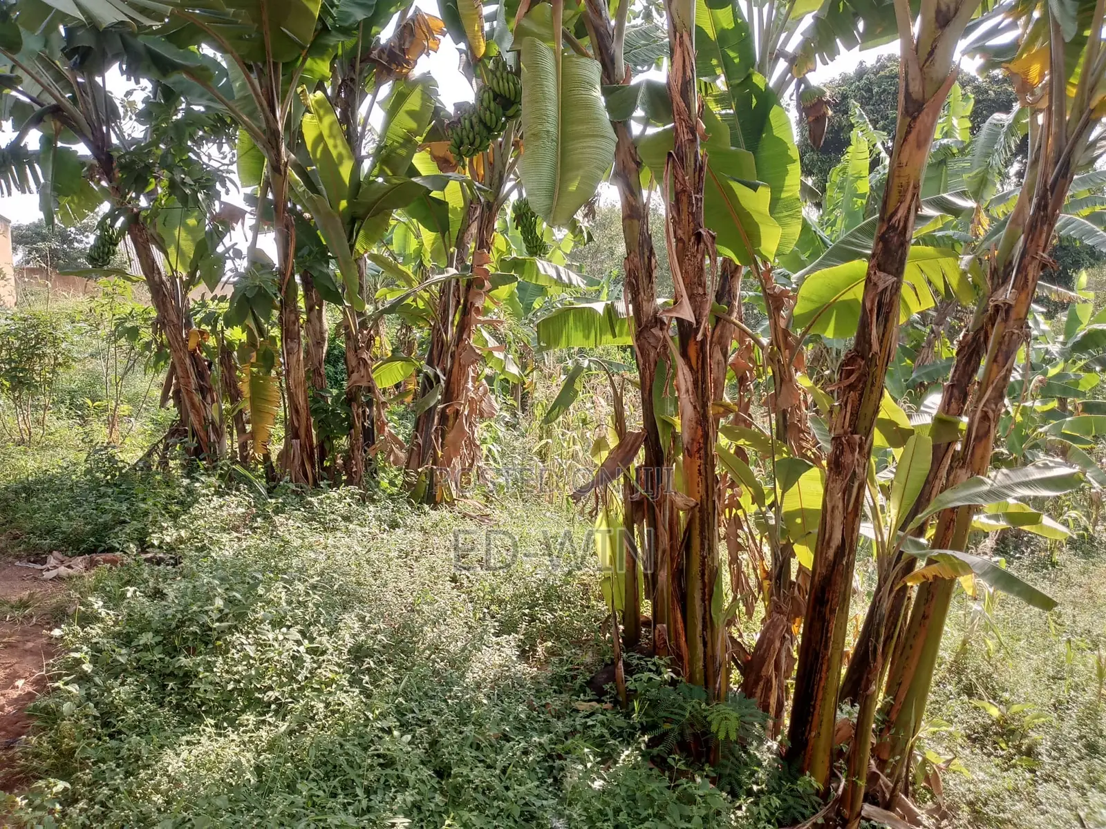 87 Decimals in Kawempe in Kawempe