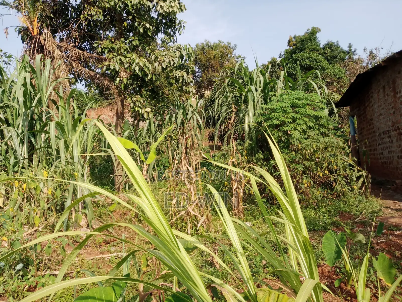 87 Decimals in Kawempe in Kawempe