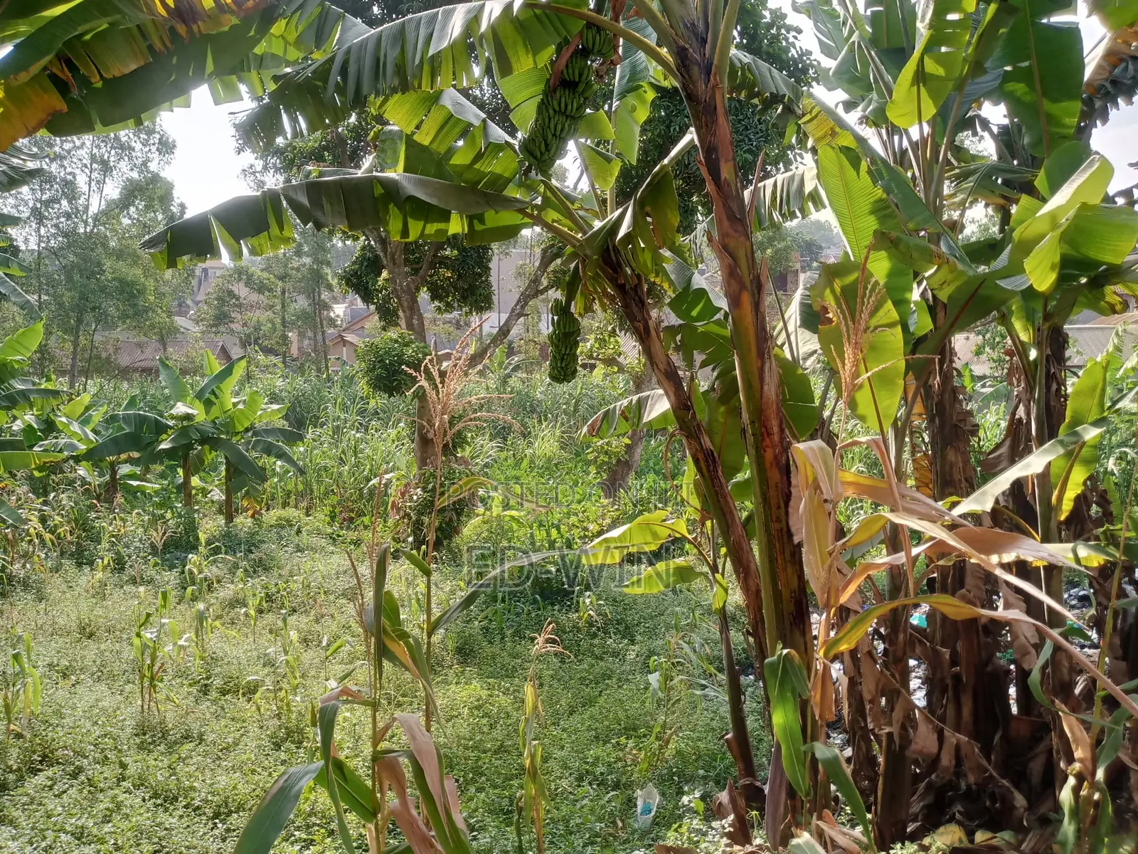 87 Decimals in Kawempe in Kawempe