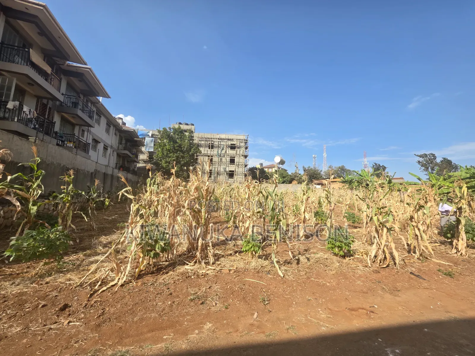 50 Decimals for Sale in Ntinda in Central Division
