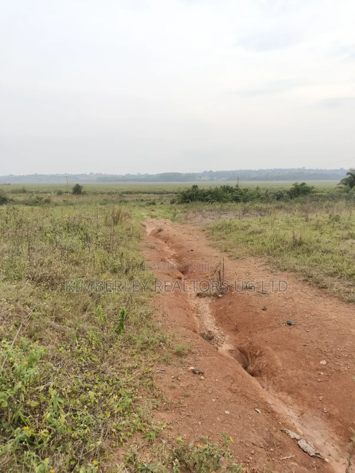 Estate Plots for Sale – Entebbe Road Ngongolo in Division A