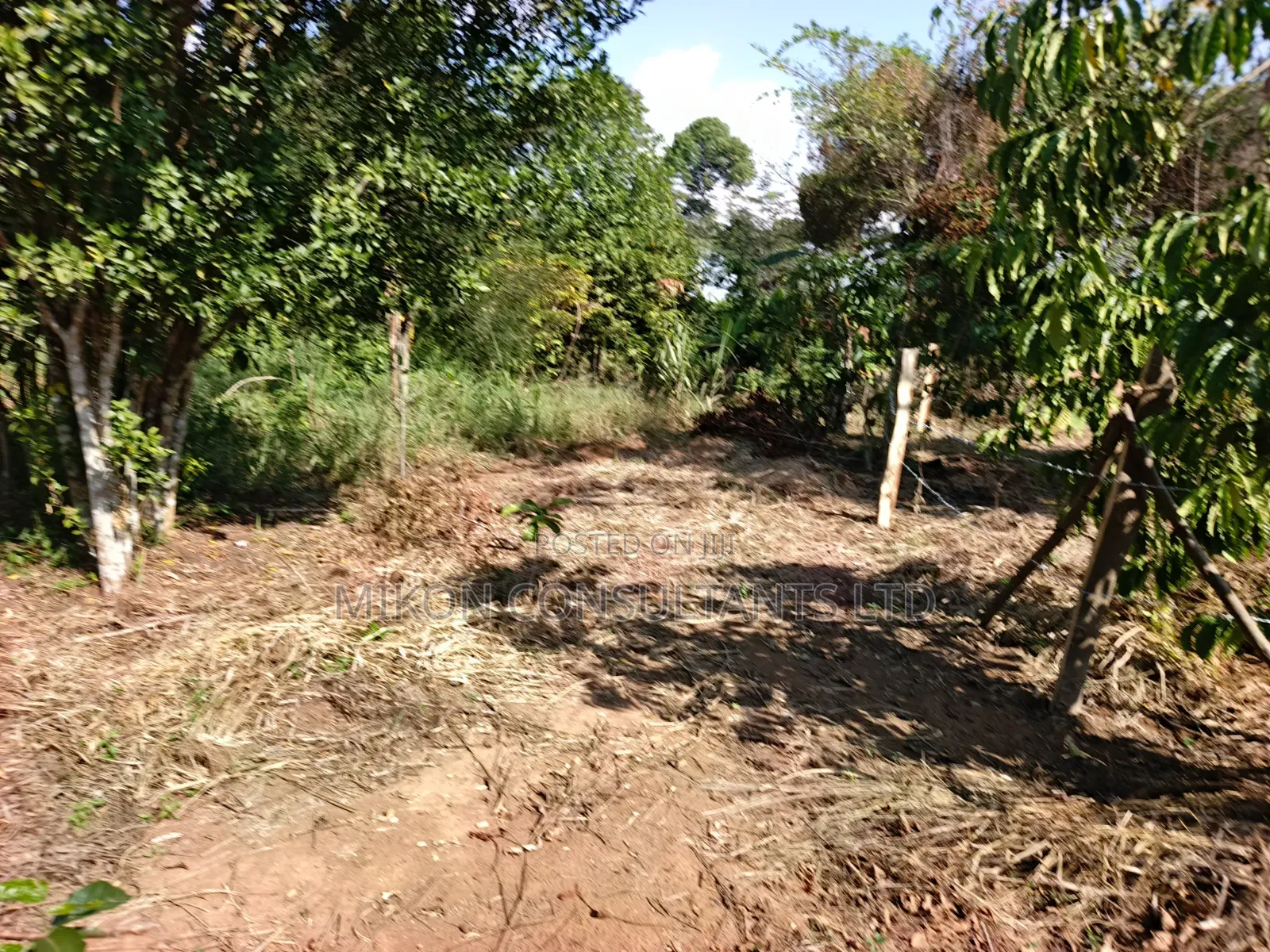 3.5 Acres in Kikyusa at Only 13m Per Acre in Central Division