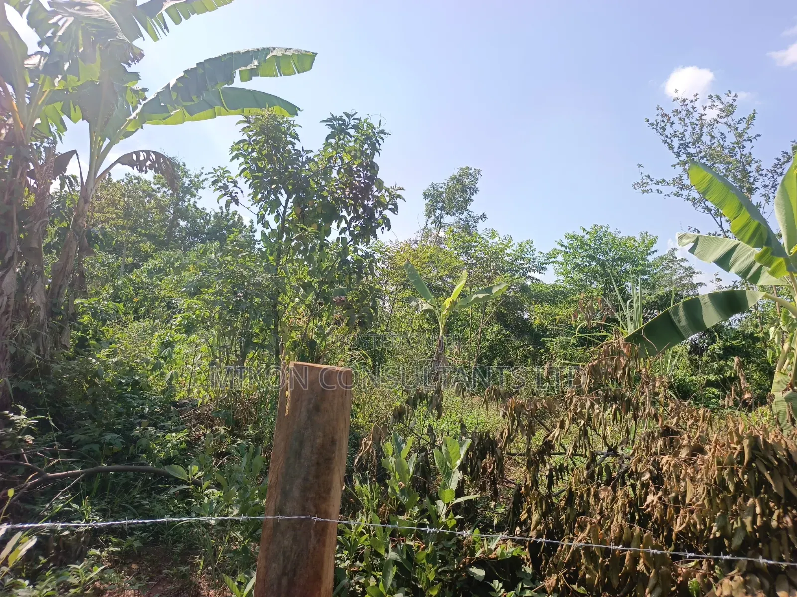 3.5 Acres in Kikyusa at Only 13m Per Acre in Central Division