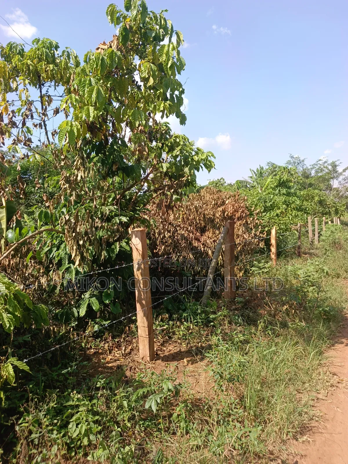 3.5 Acres in Kikyusa at Only 13m Per Acre in Central Division