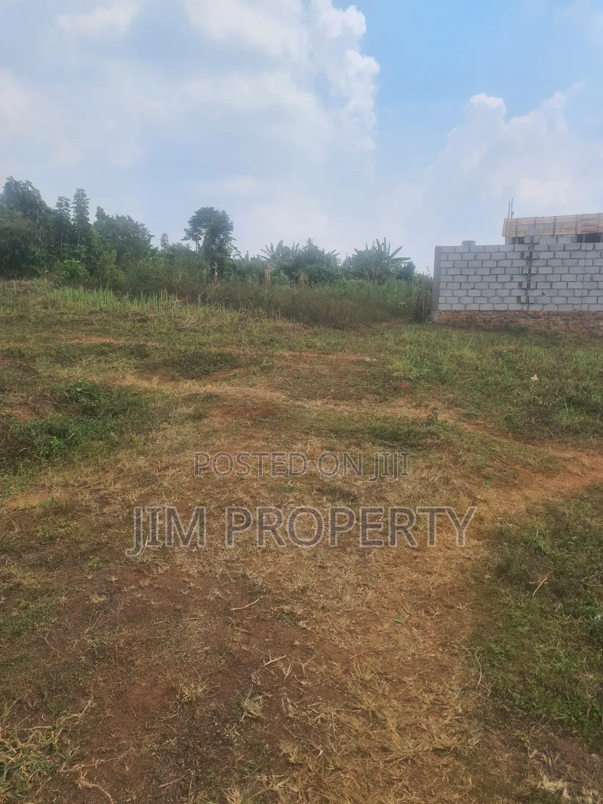 Land for Sale at Sisa Ntebe Rd 50x100 in Central Division