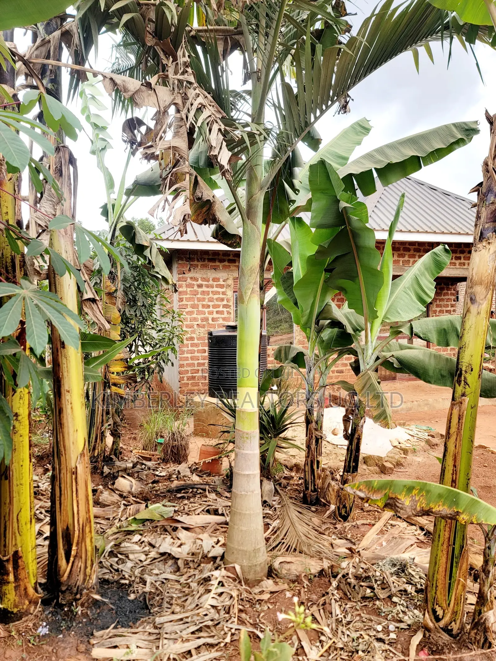 Land for Sale – Nazigo, Kayunga–jinja Road in Jinja