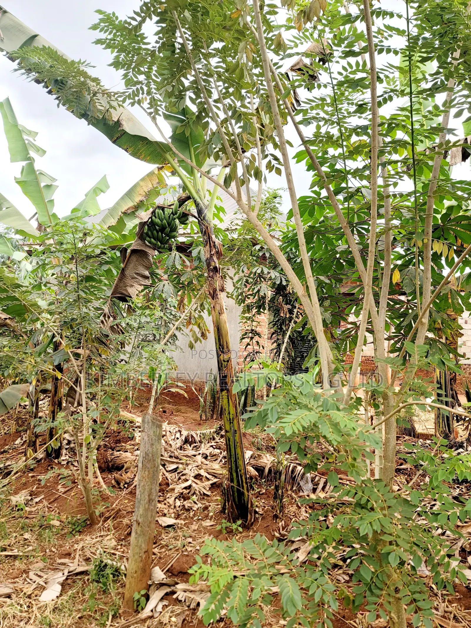 Land for Sale – Nazigo, Kayunga–jinja Road in Jinja