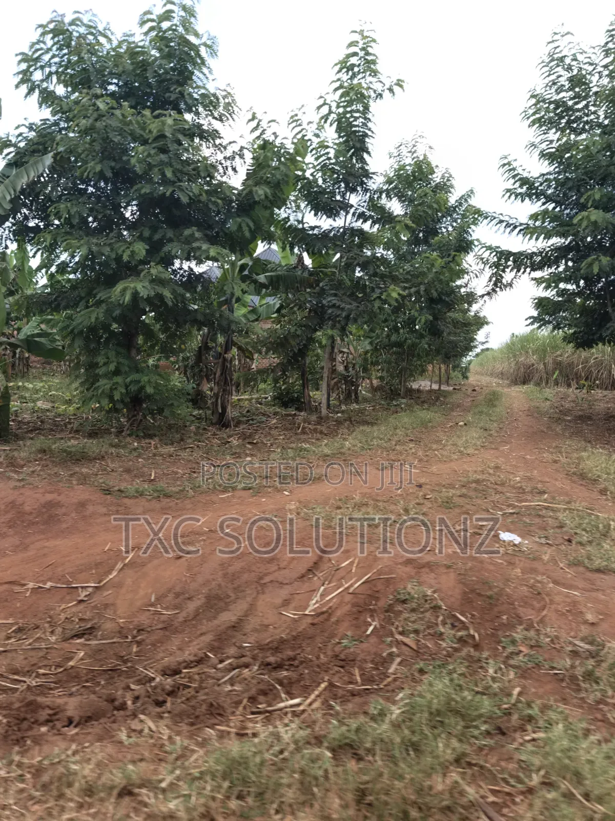 Plots for Sale in Kagoma in Jinja