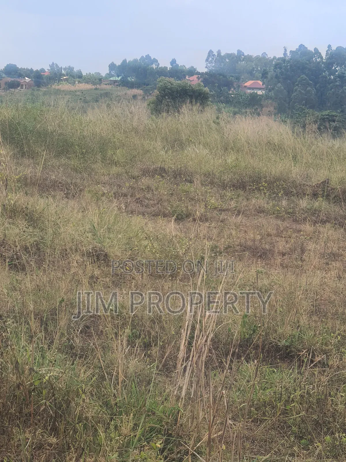 Land for Sale at Nateete Nsagu Nakawuka Road 50x100 in Central Division